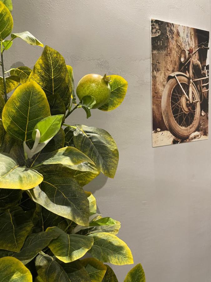 Фото Shelterz Электрозаводская