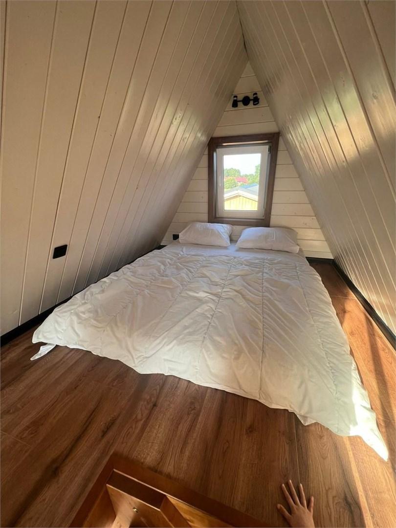 Фото Малина