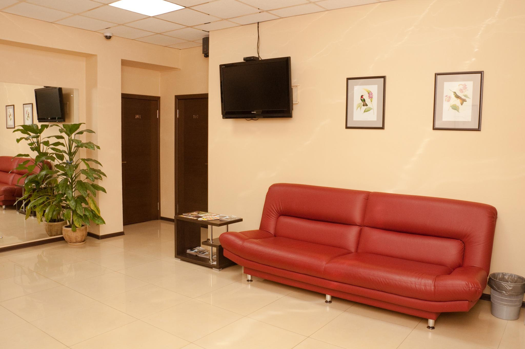 Фото Колибри