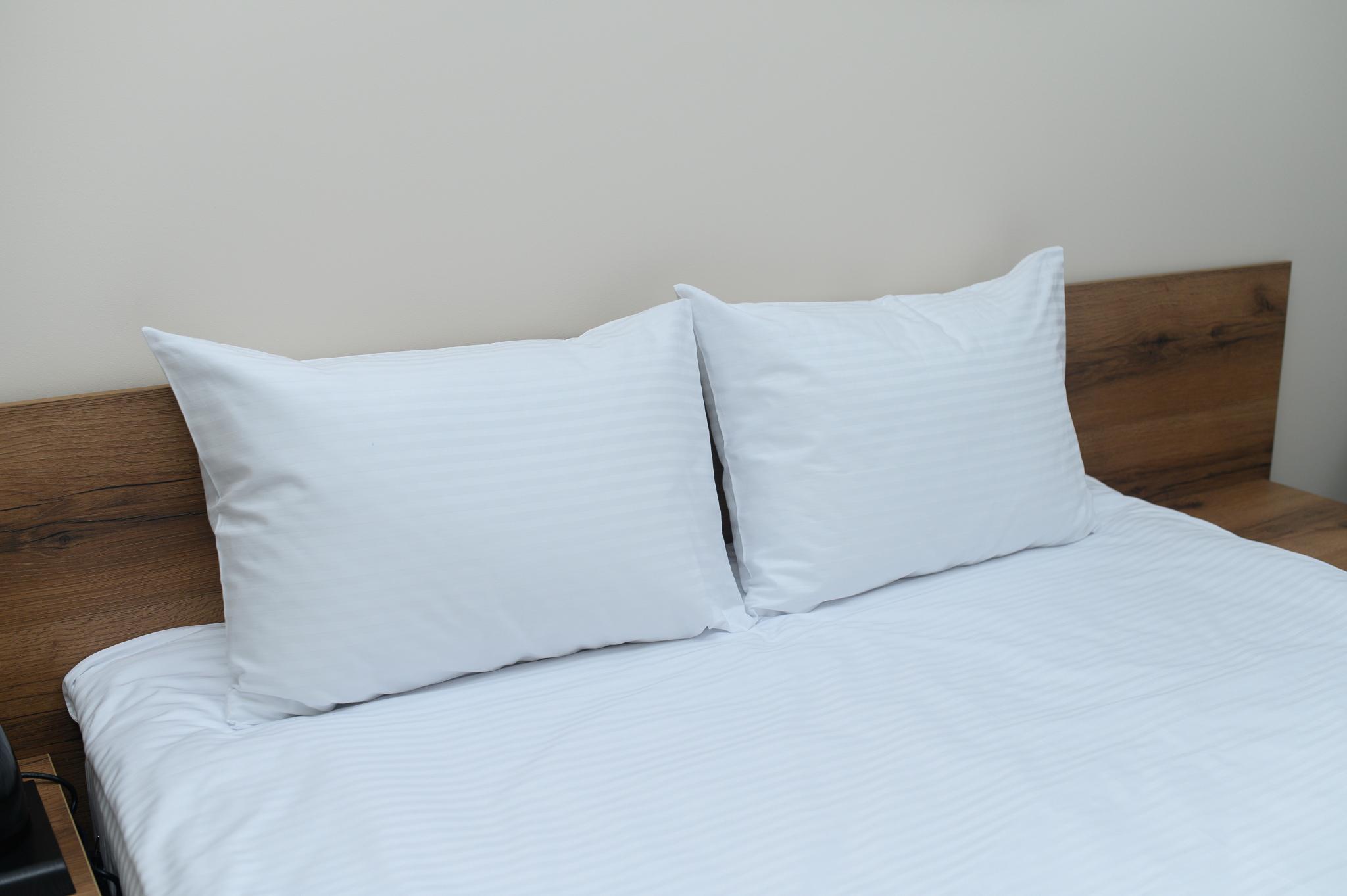 Фото Орбита