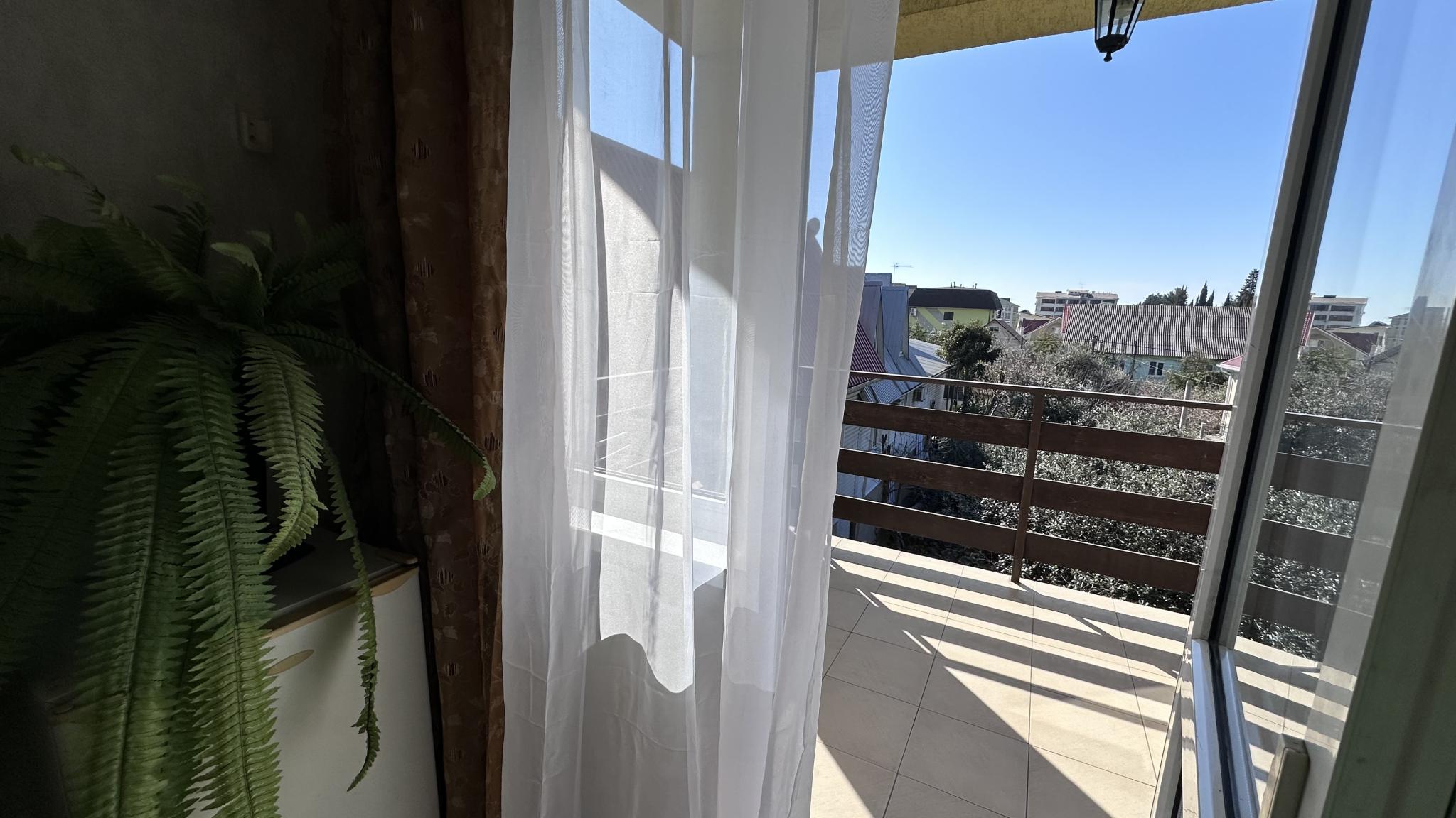 Фото Орхидея