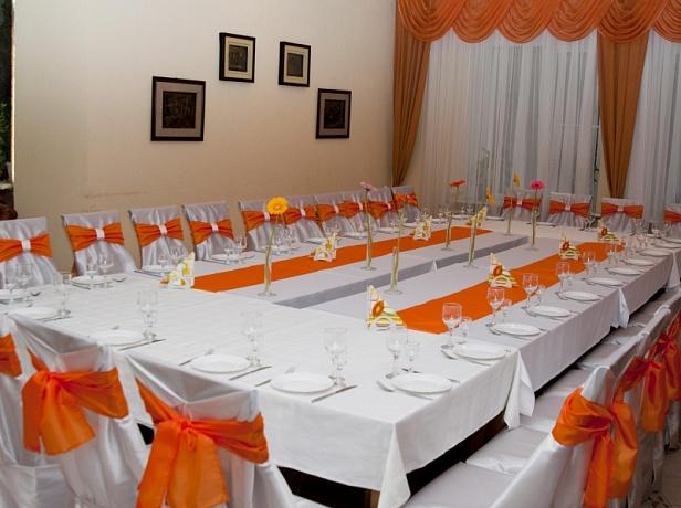 Фото Сосны плюс