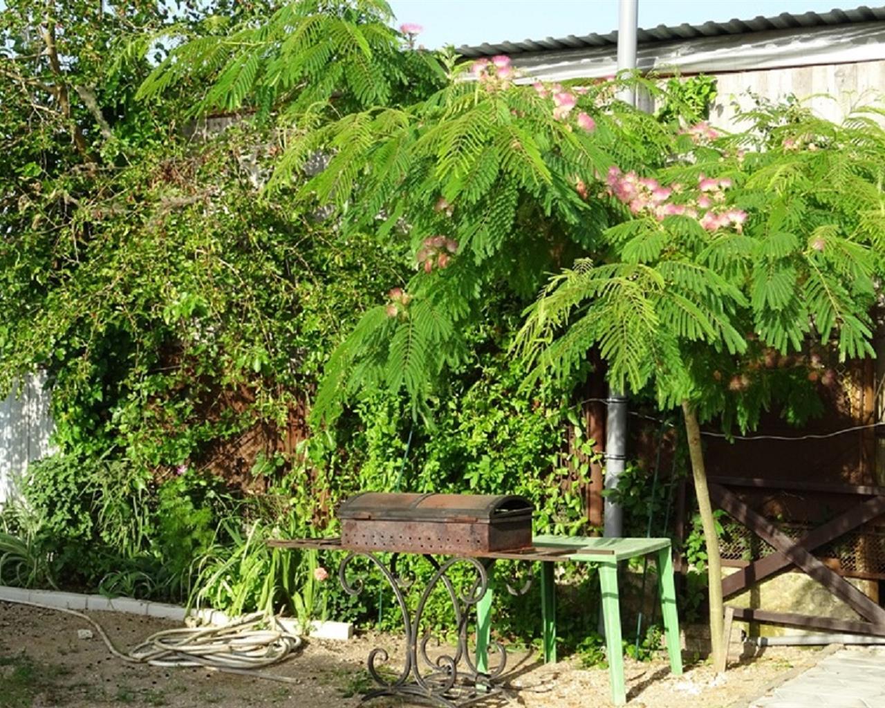 Фото Дольче вита