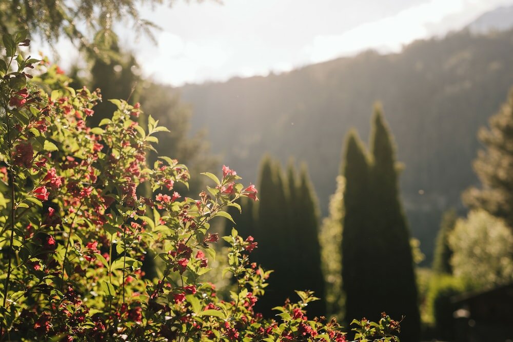 Фото Miaflor Familien- & Aktivresort