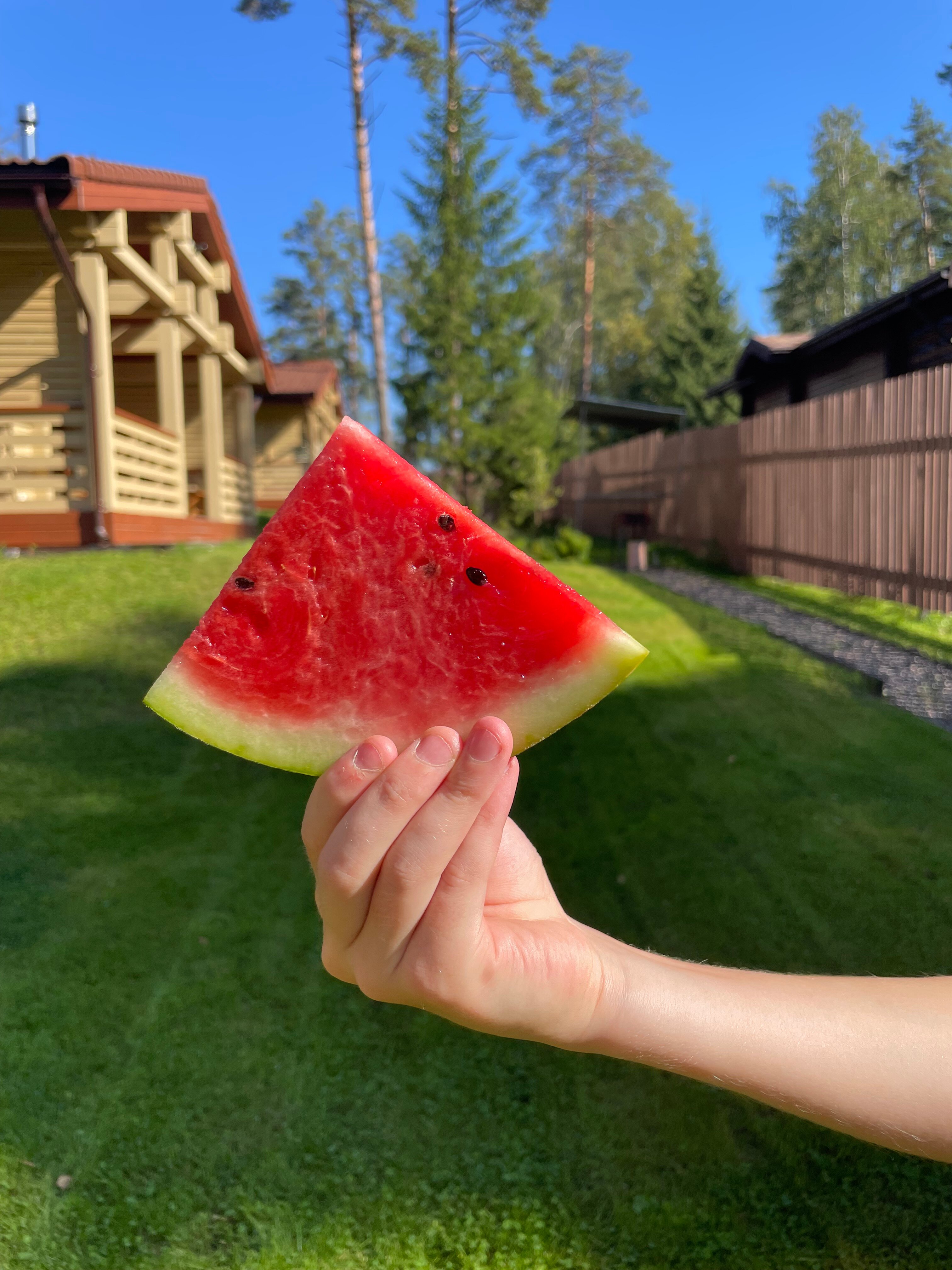 Фото Sosnovka house