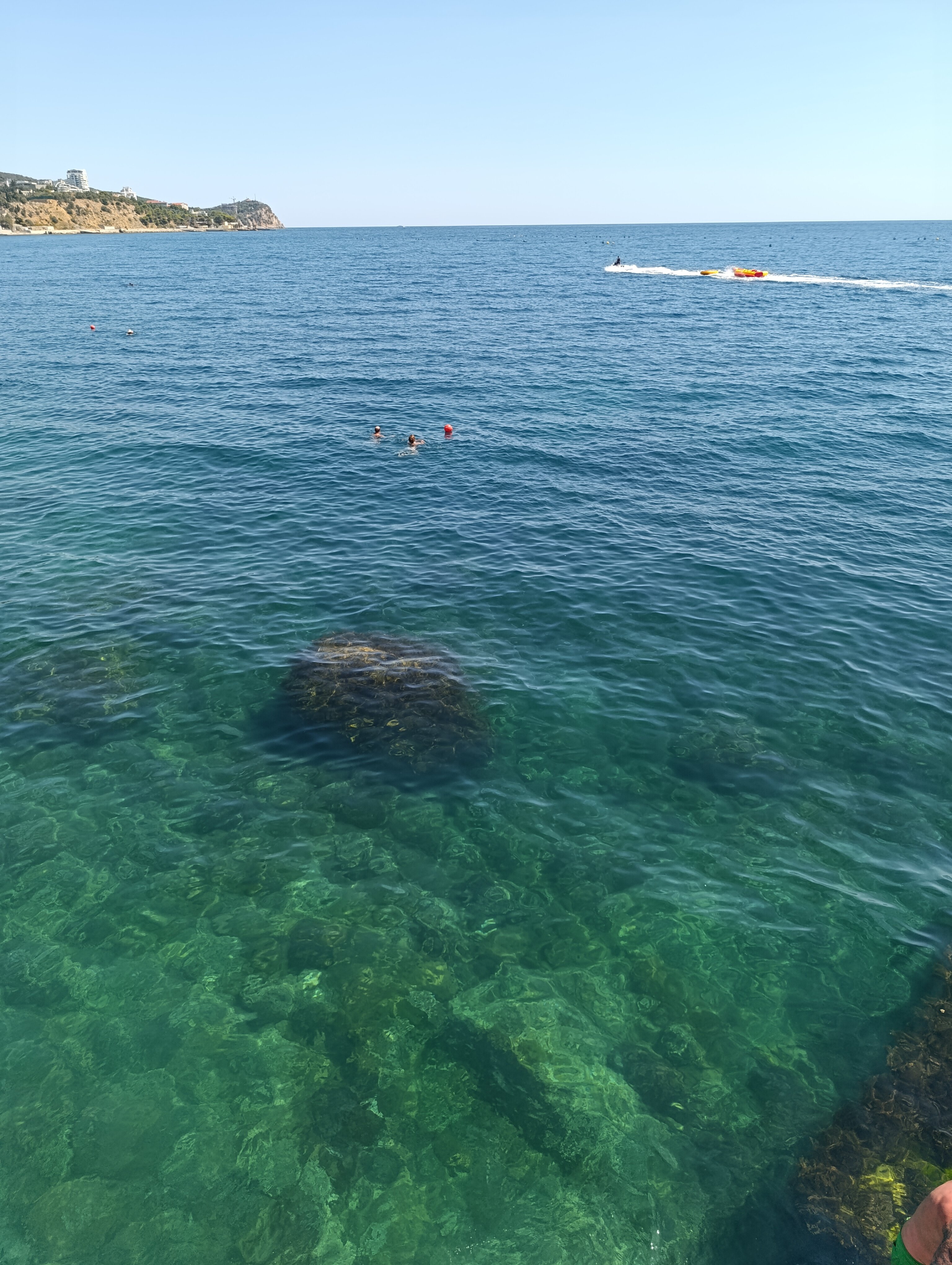 Фото Коктейль