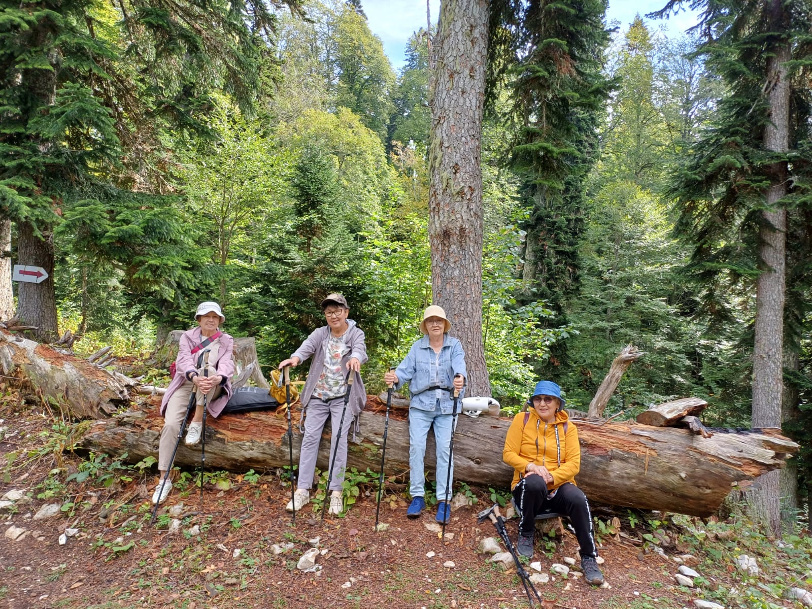 Фото Гостевой дом Кипарис