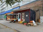 Овощной магазин (Dusi Kovalchuk Street, 91), greengrocery
