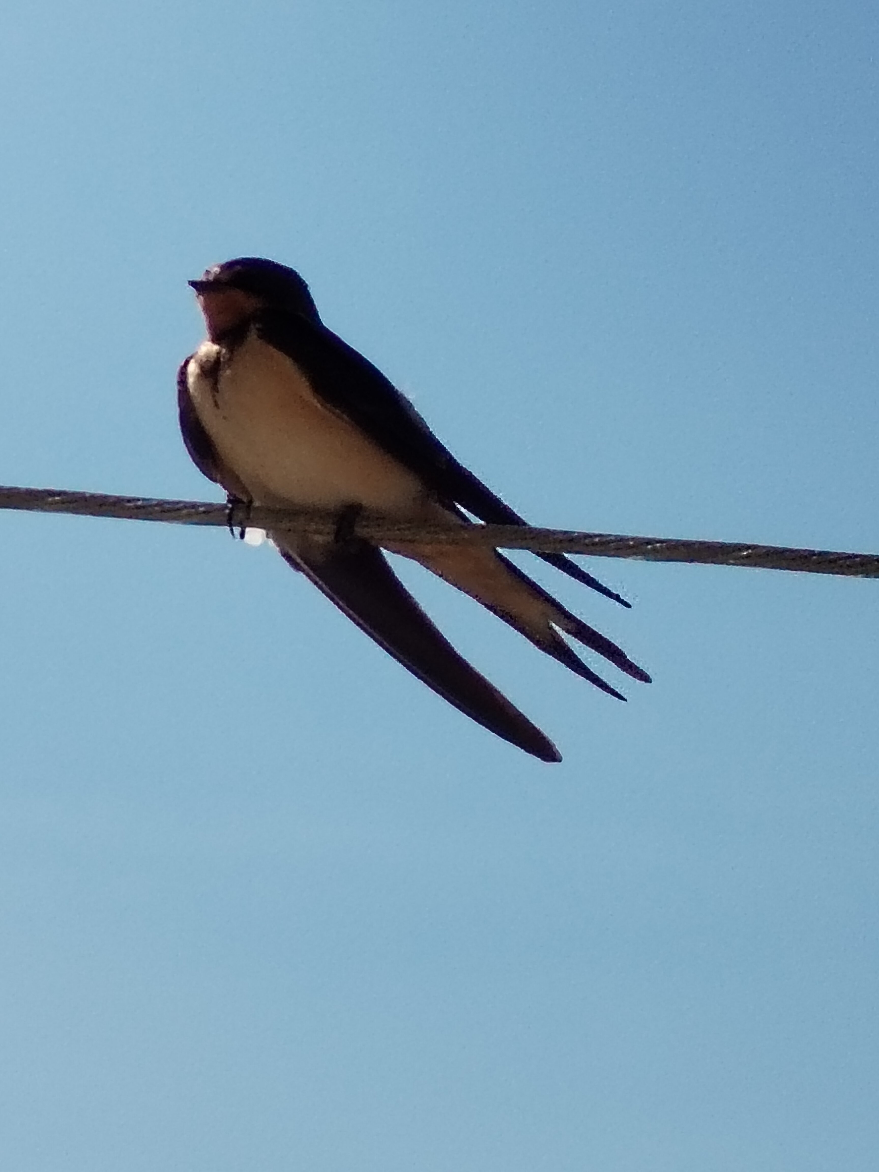 Фото Солнечный домик