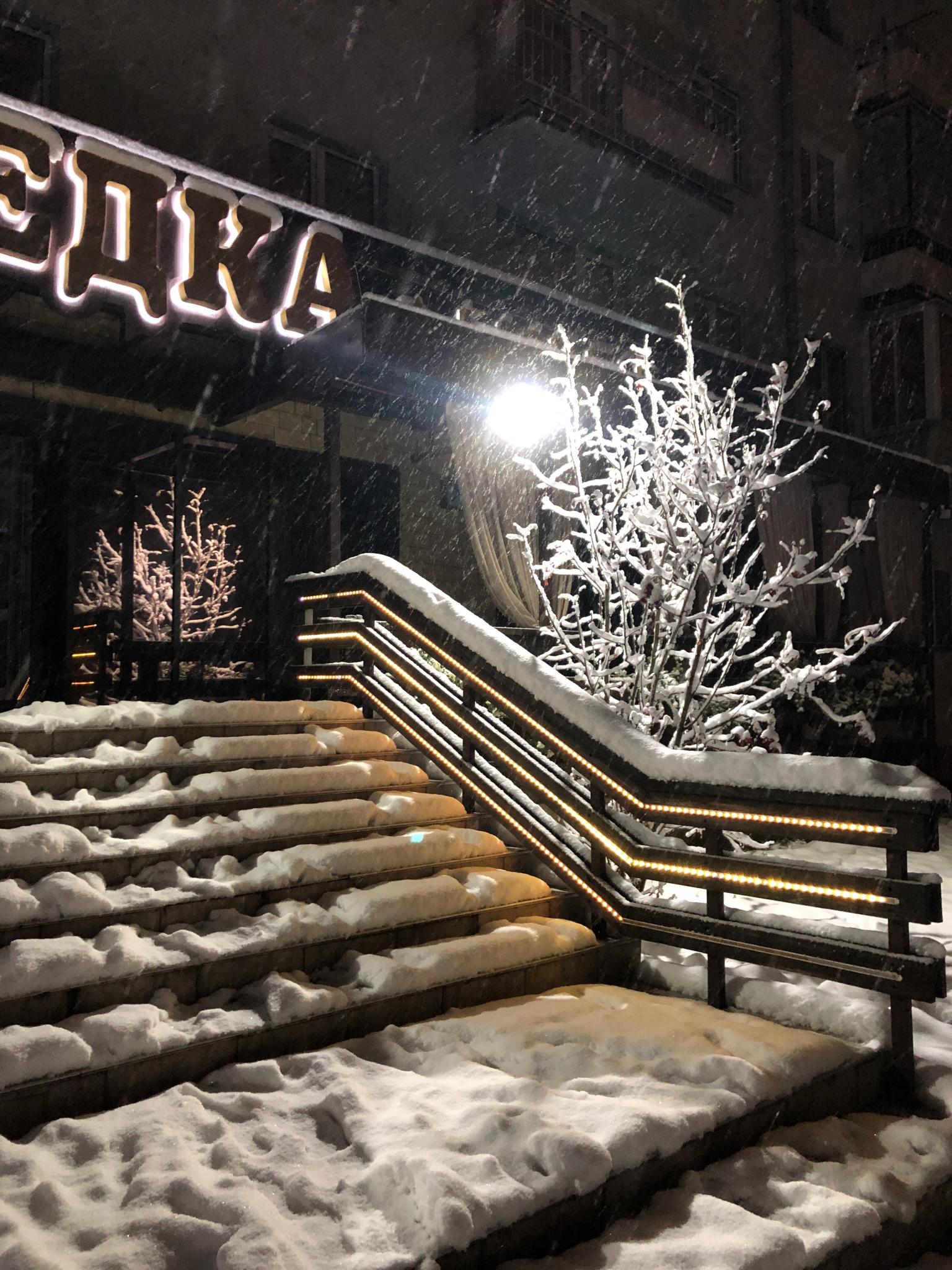 Фото Шведка