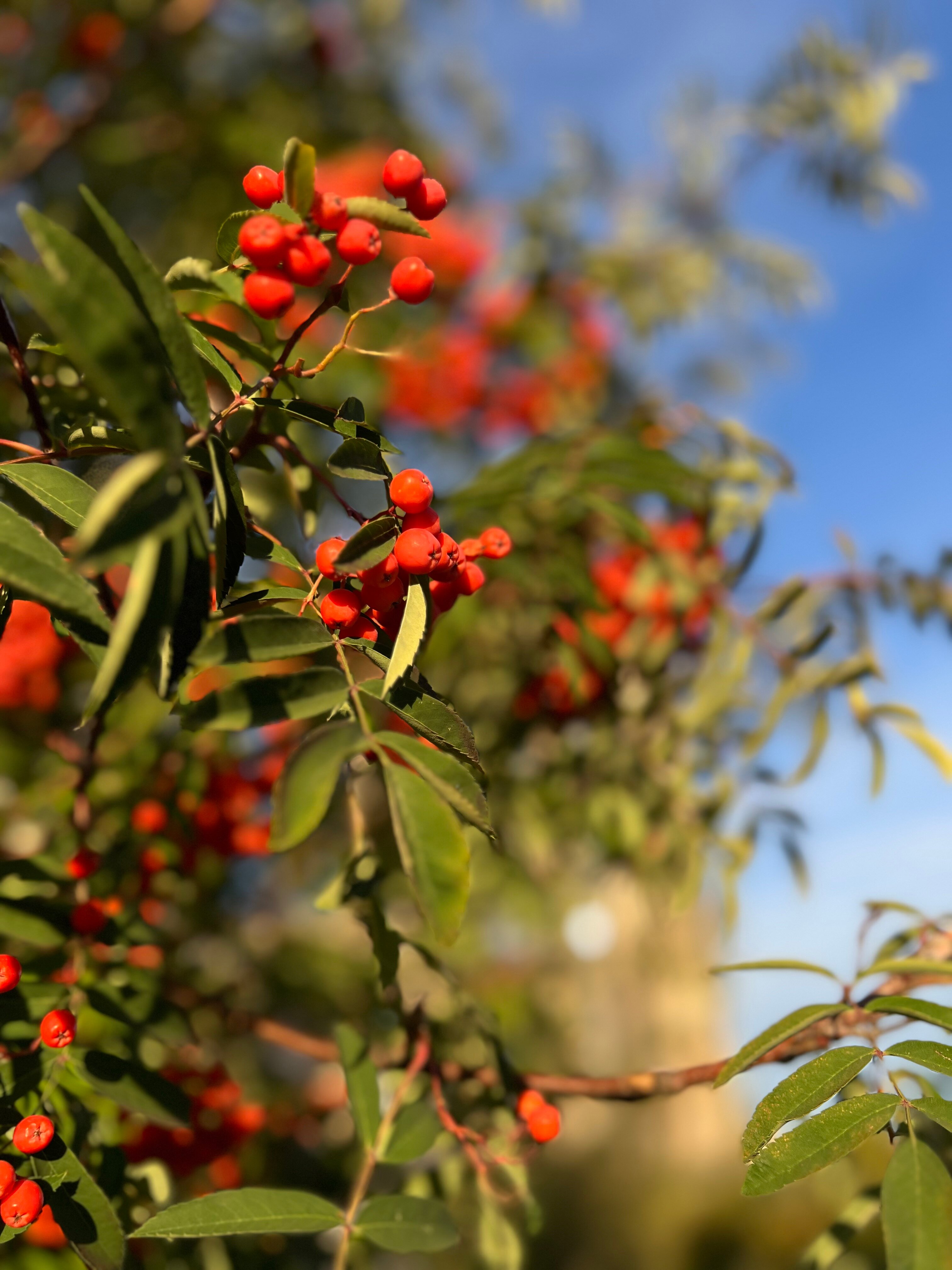 Фото Сибирь