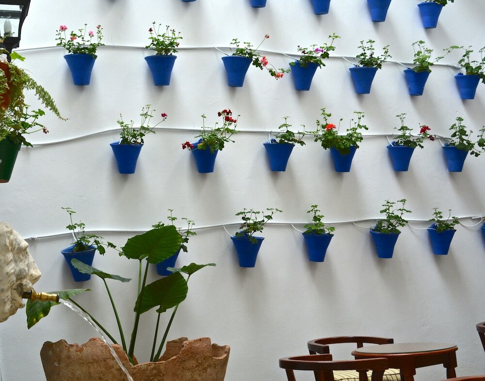 Фото Hotel Marisa