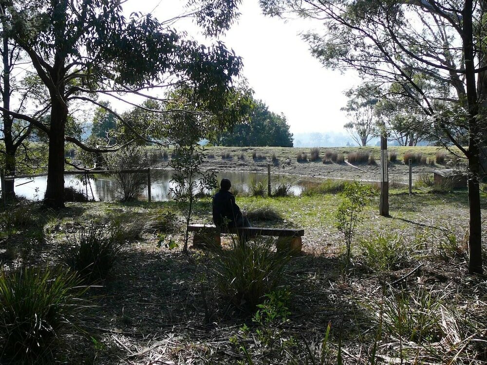 Фото Wind Song Bed & Breakfast