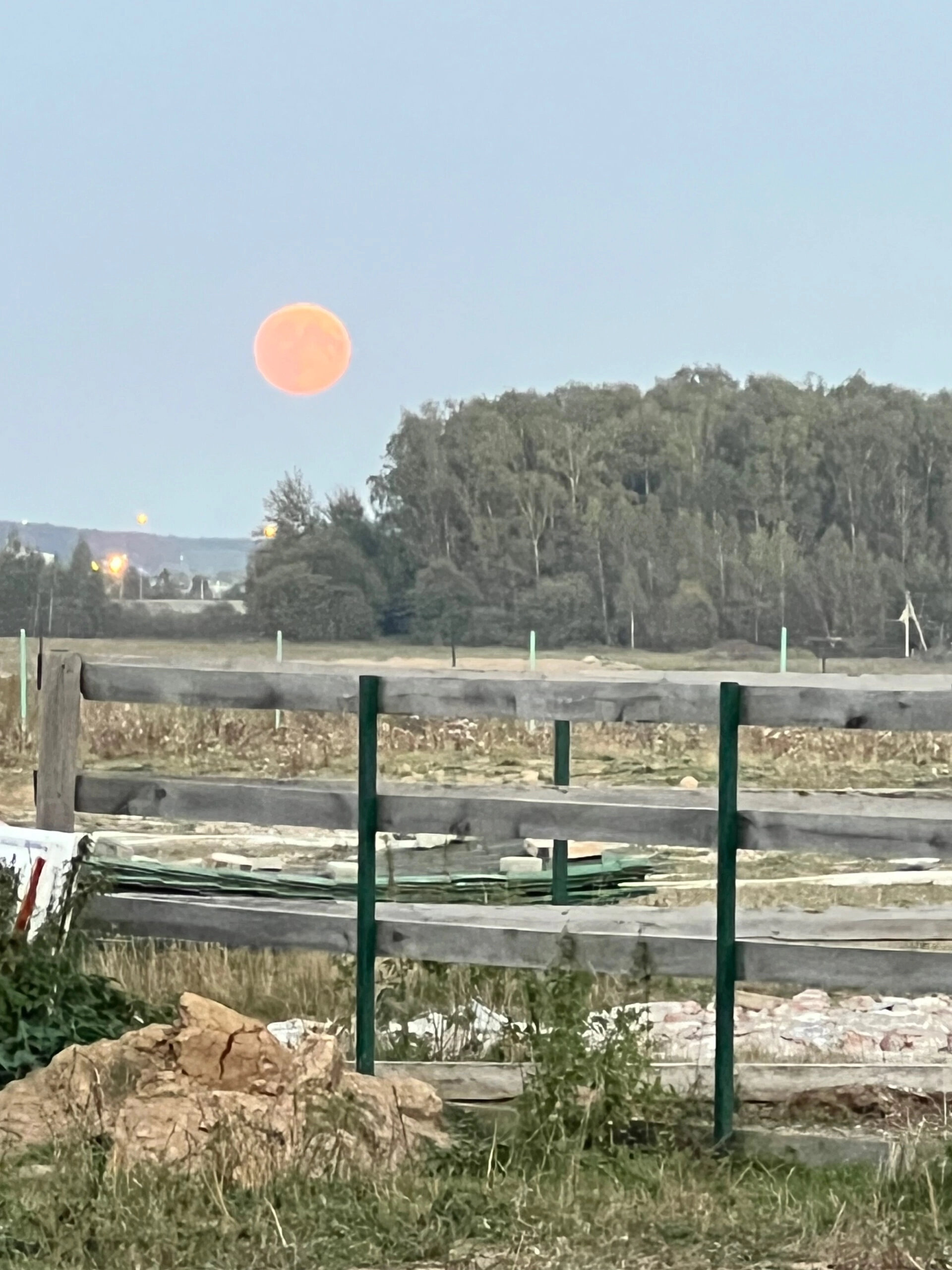 Фото Семейная экоферма