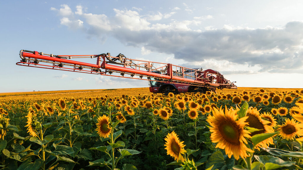 Warehouse Hicaz Agricultural Products Licensed Warehousing, Corlu, photo