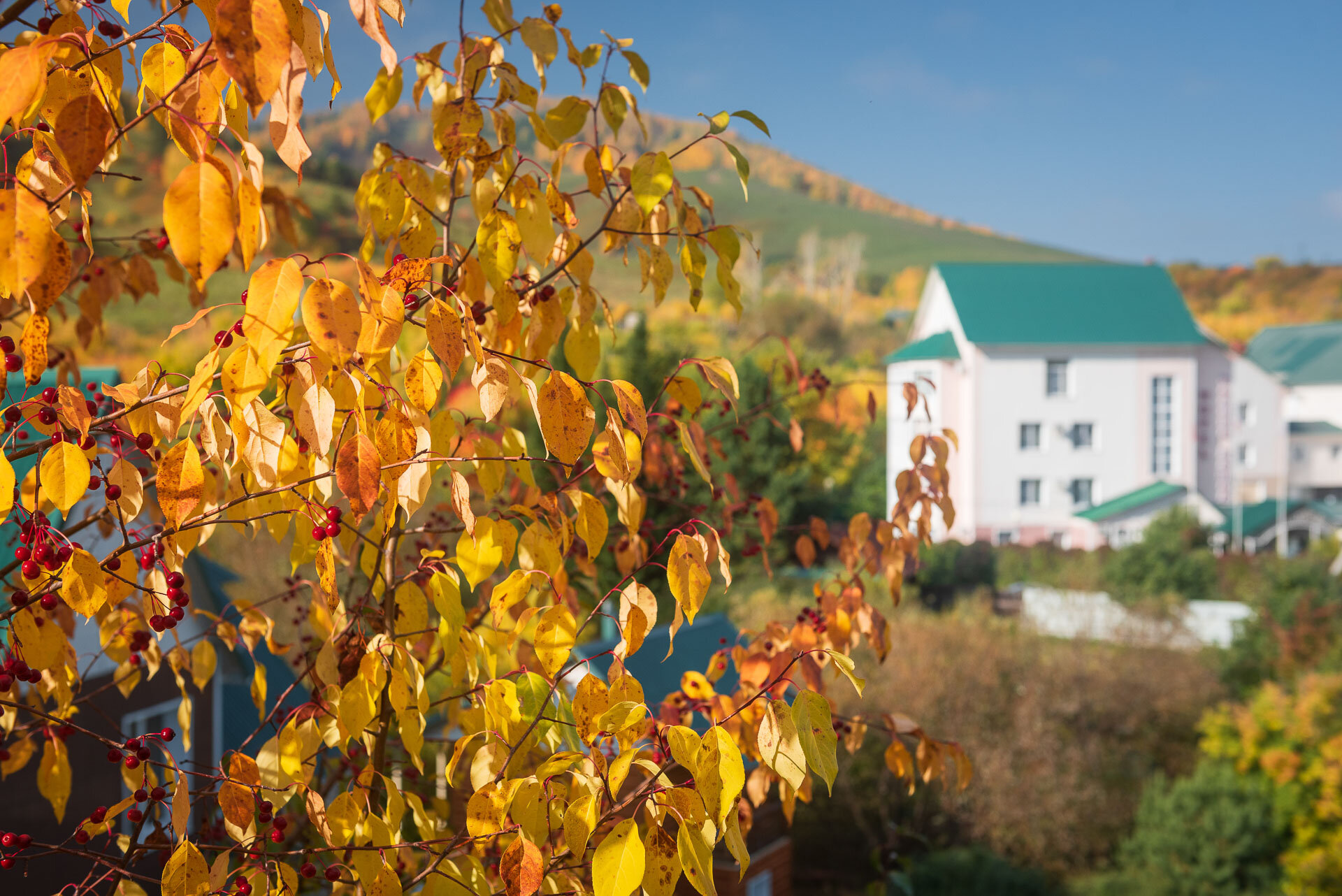 Фото Долина Алтая