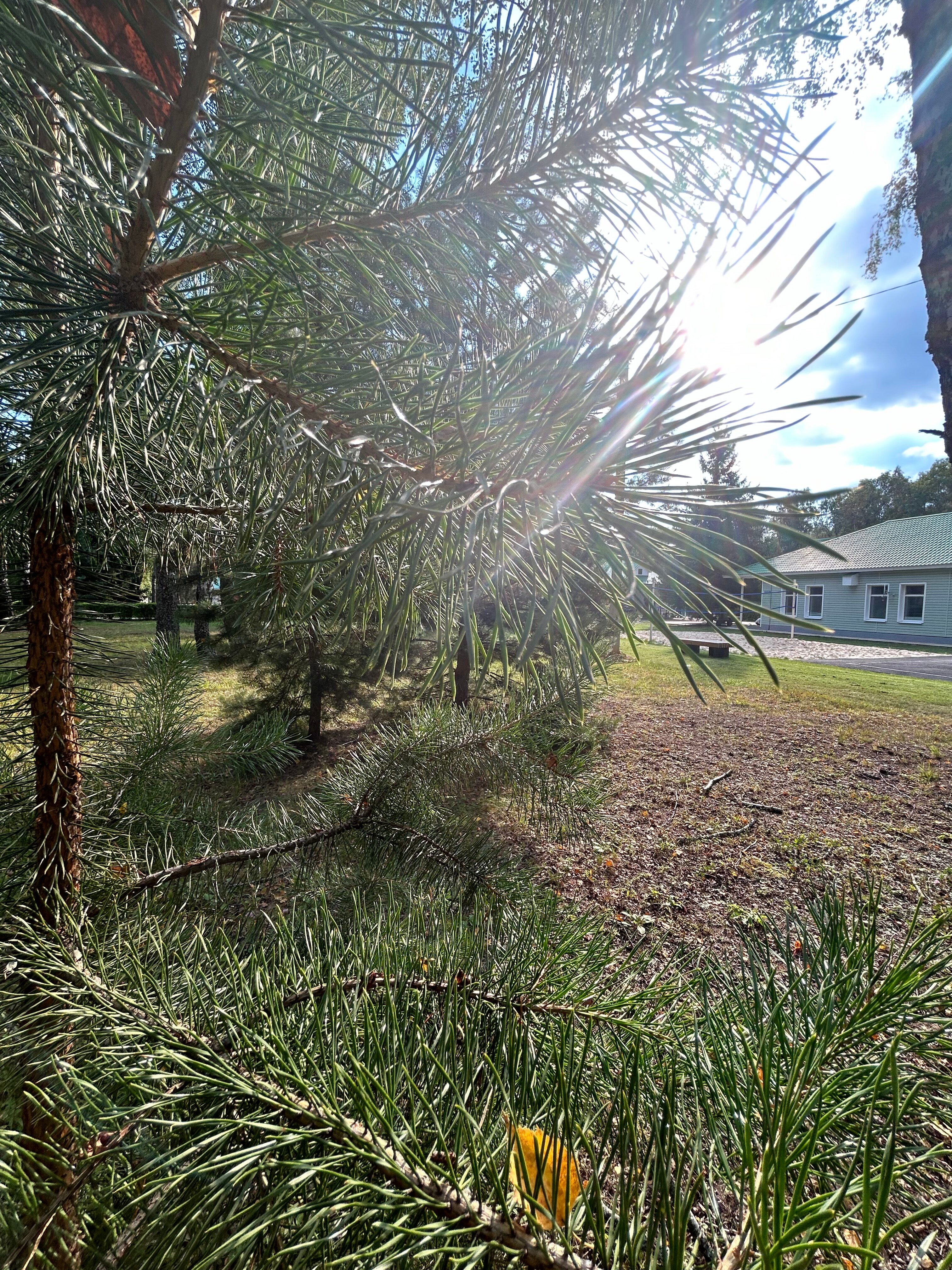 Фото Гераклион