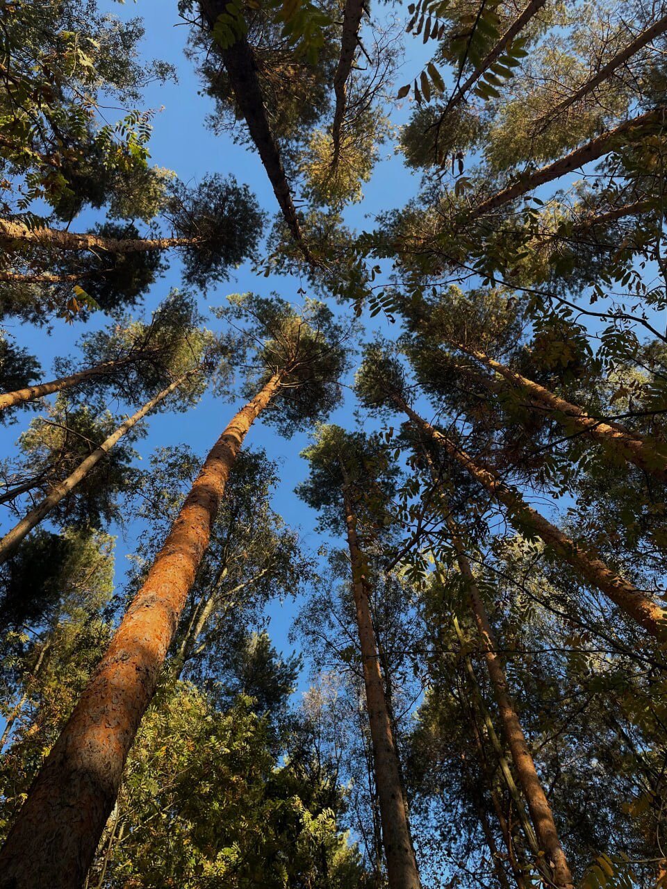 Фото Sabai Family