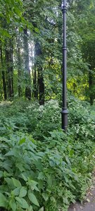 Vorovsky Park (Moscow, Vorovsky Park), park