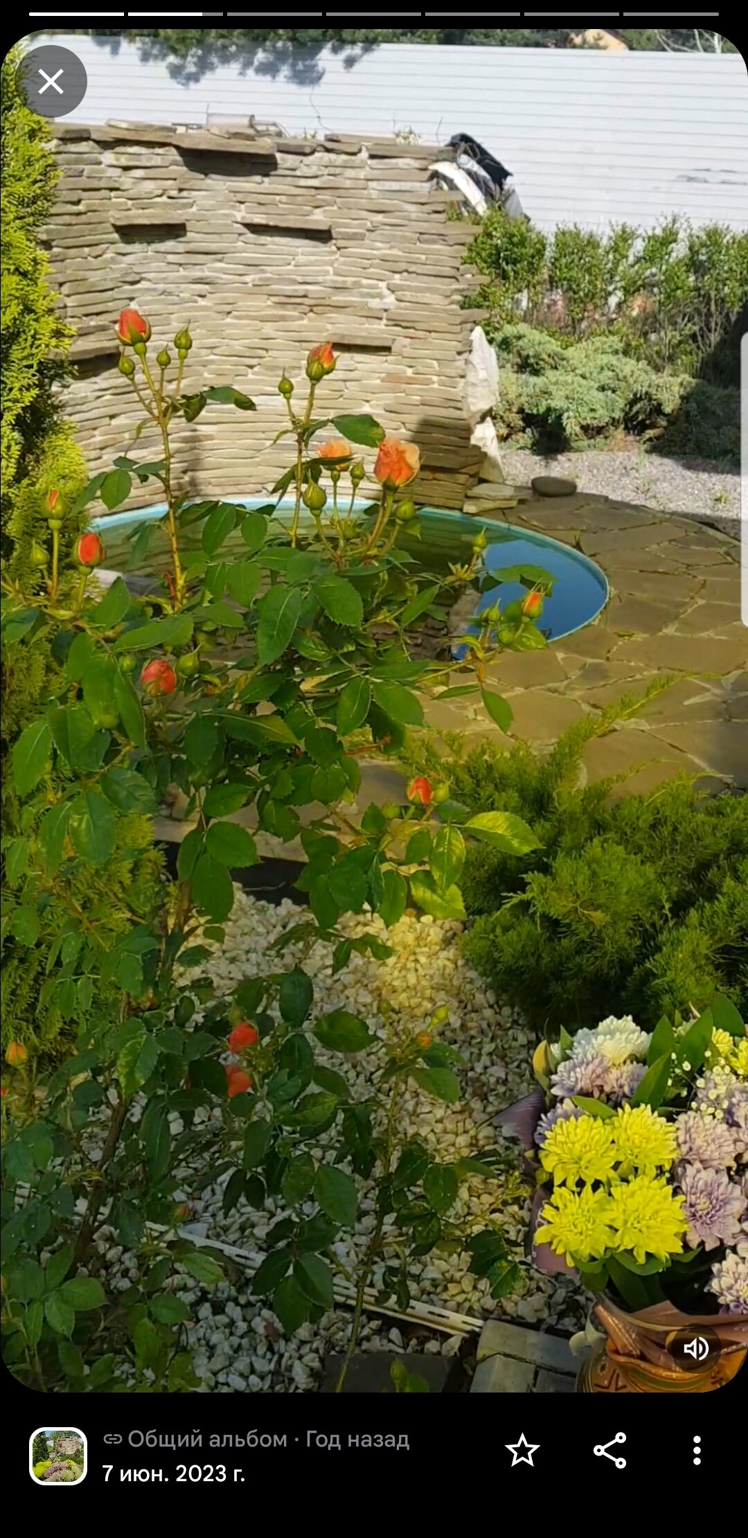 Фото На Заячьей поляне