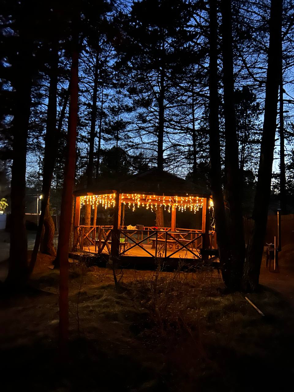 Фото Дом отдыха Байкал