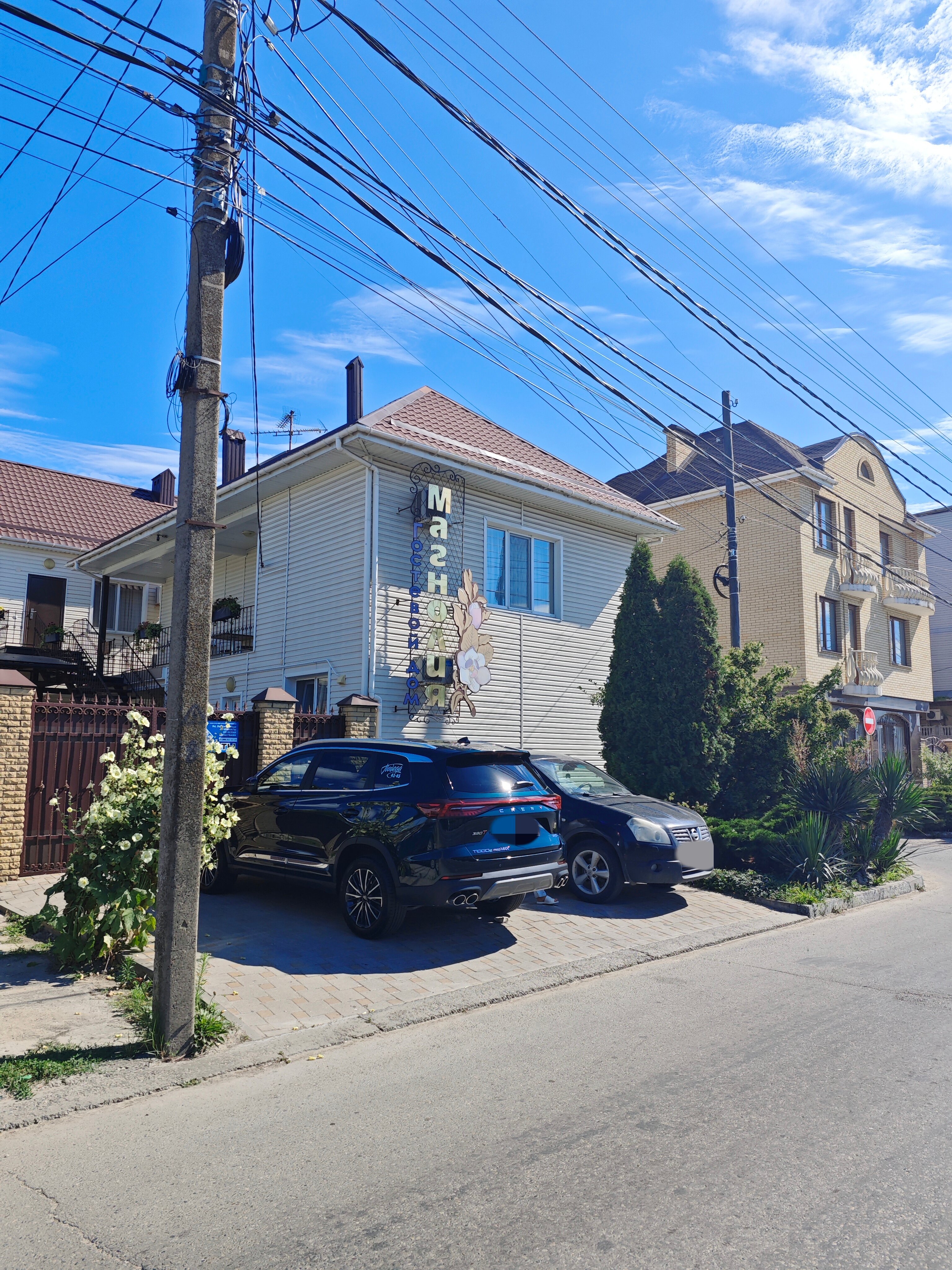 Фото Магнолия