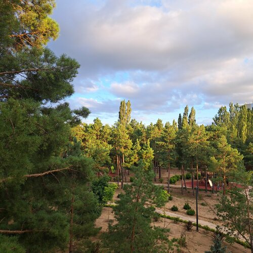 Гостиница Наша Хвоя в Волгоградской области