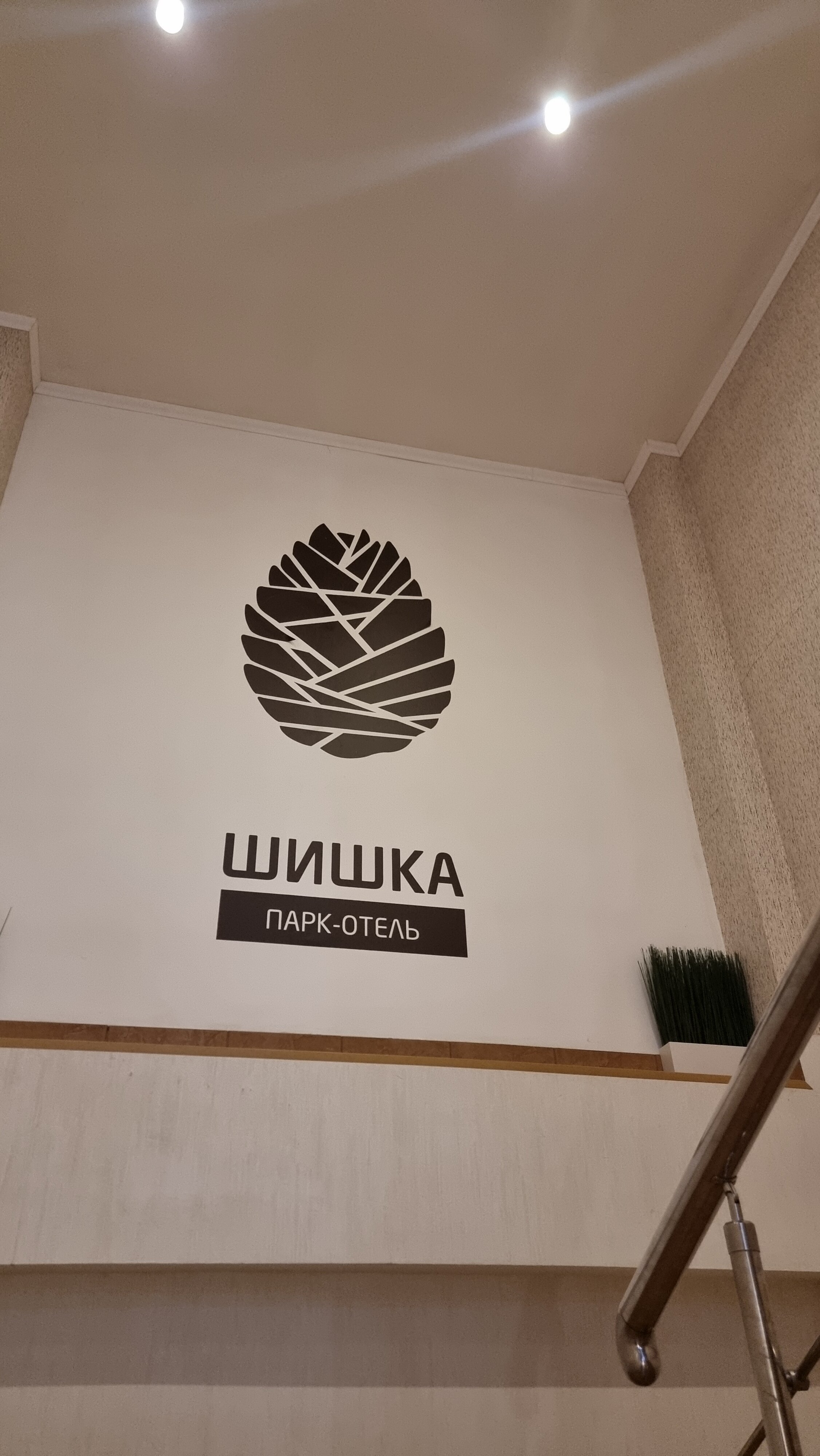 Фото Парк-отель Шишка