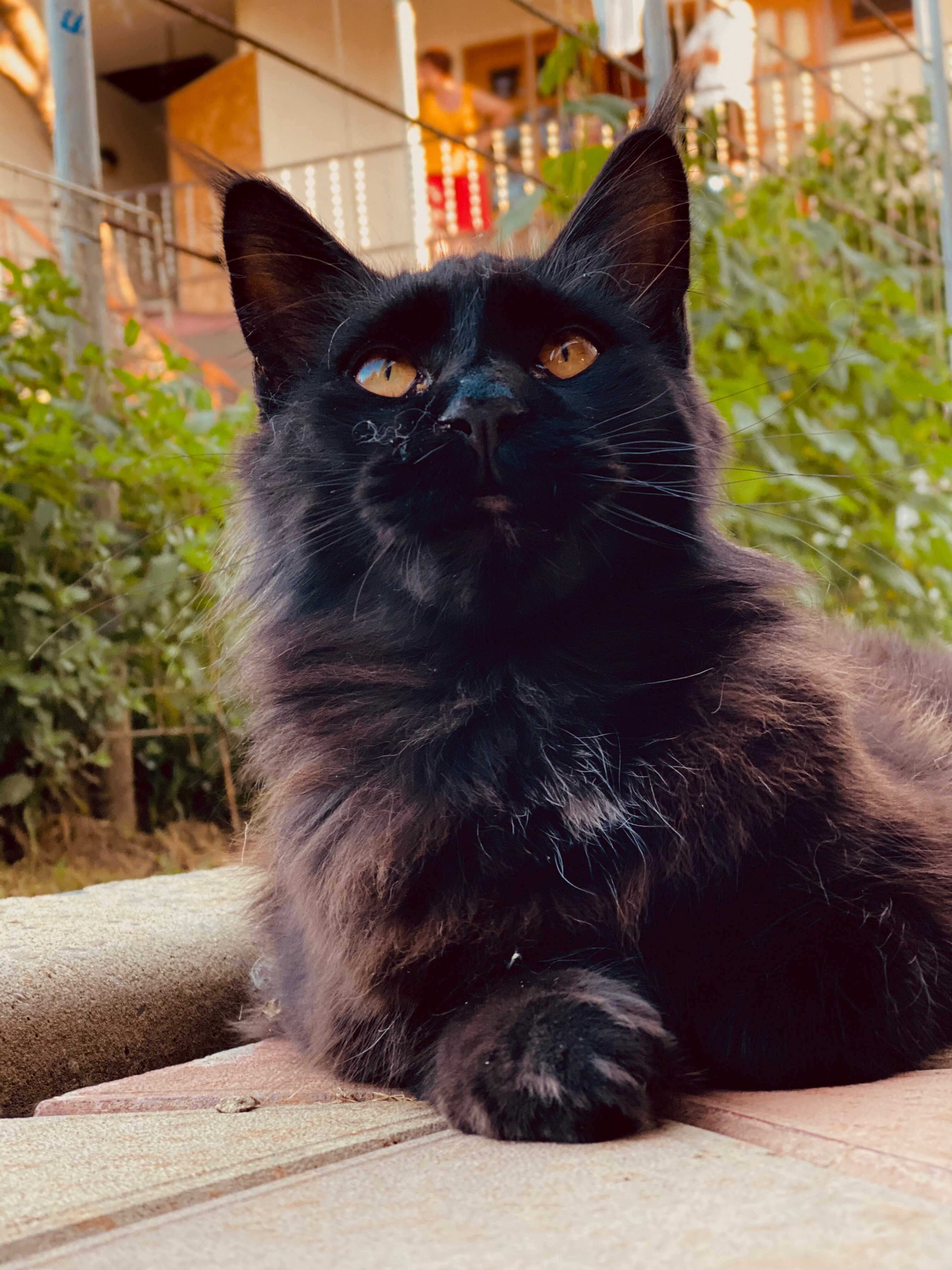 Фото Надежда