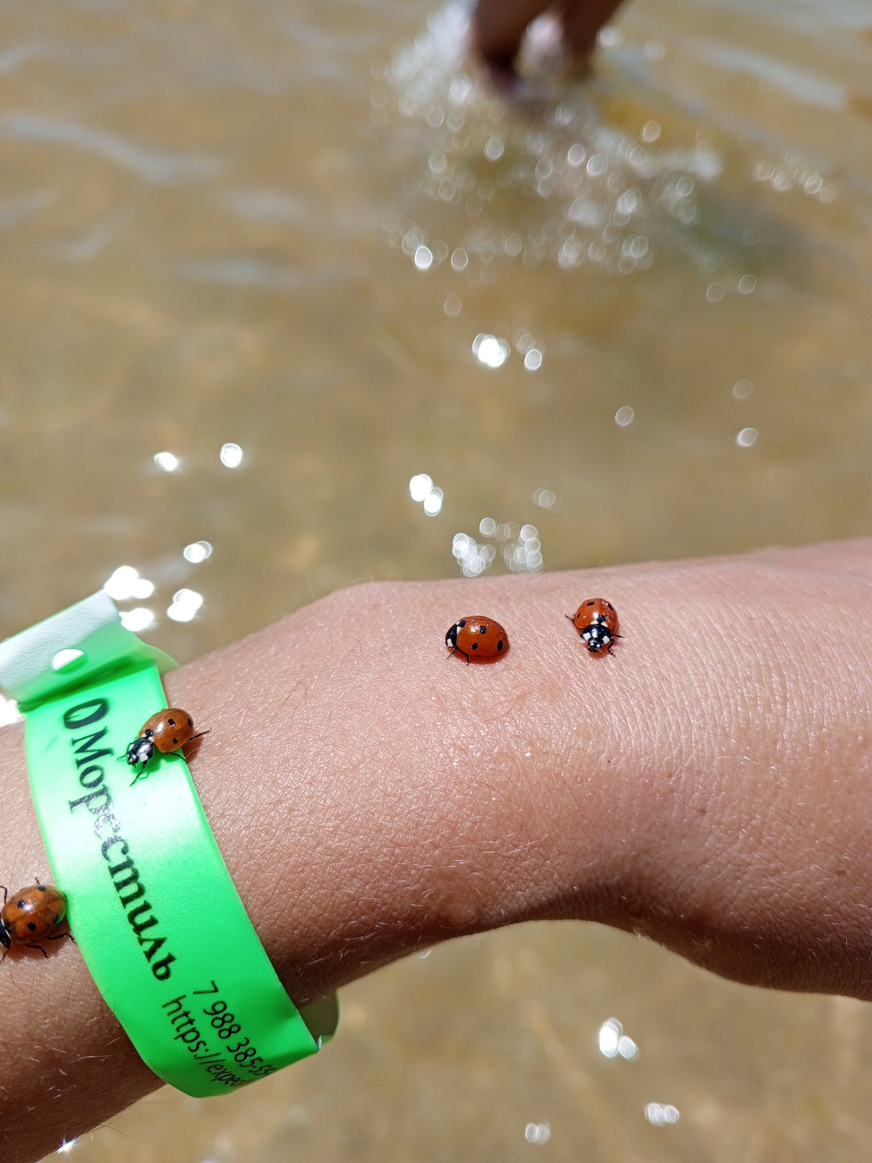 Фото МореСтиль - Экспедиция