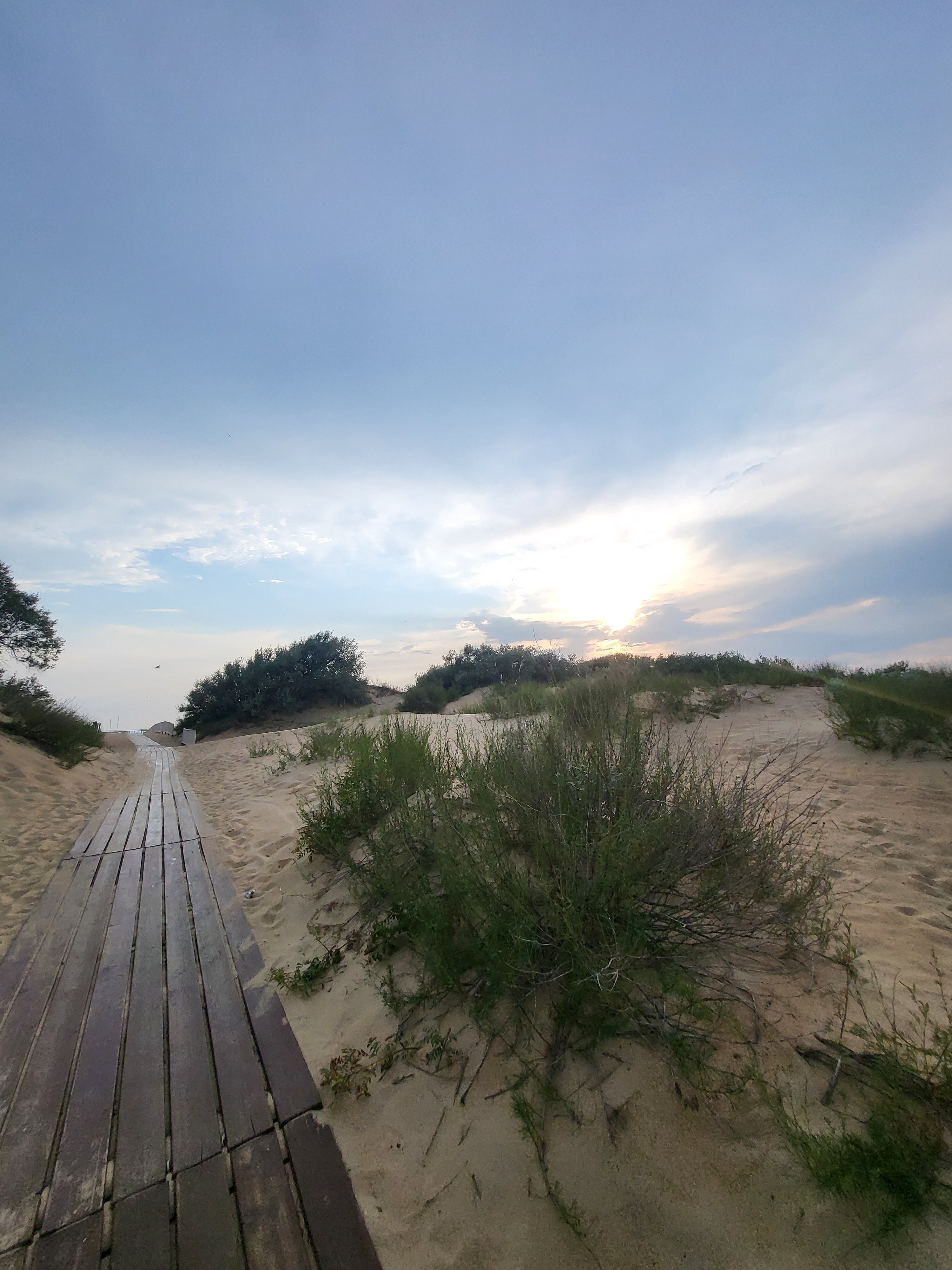 Фото Тортуга