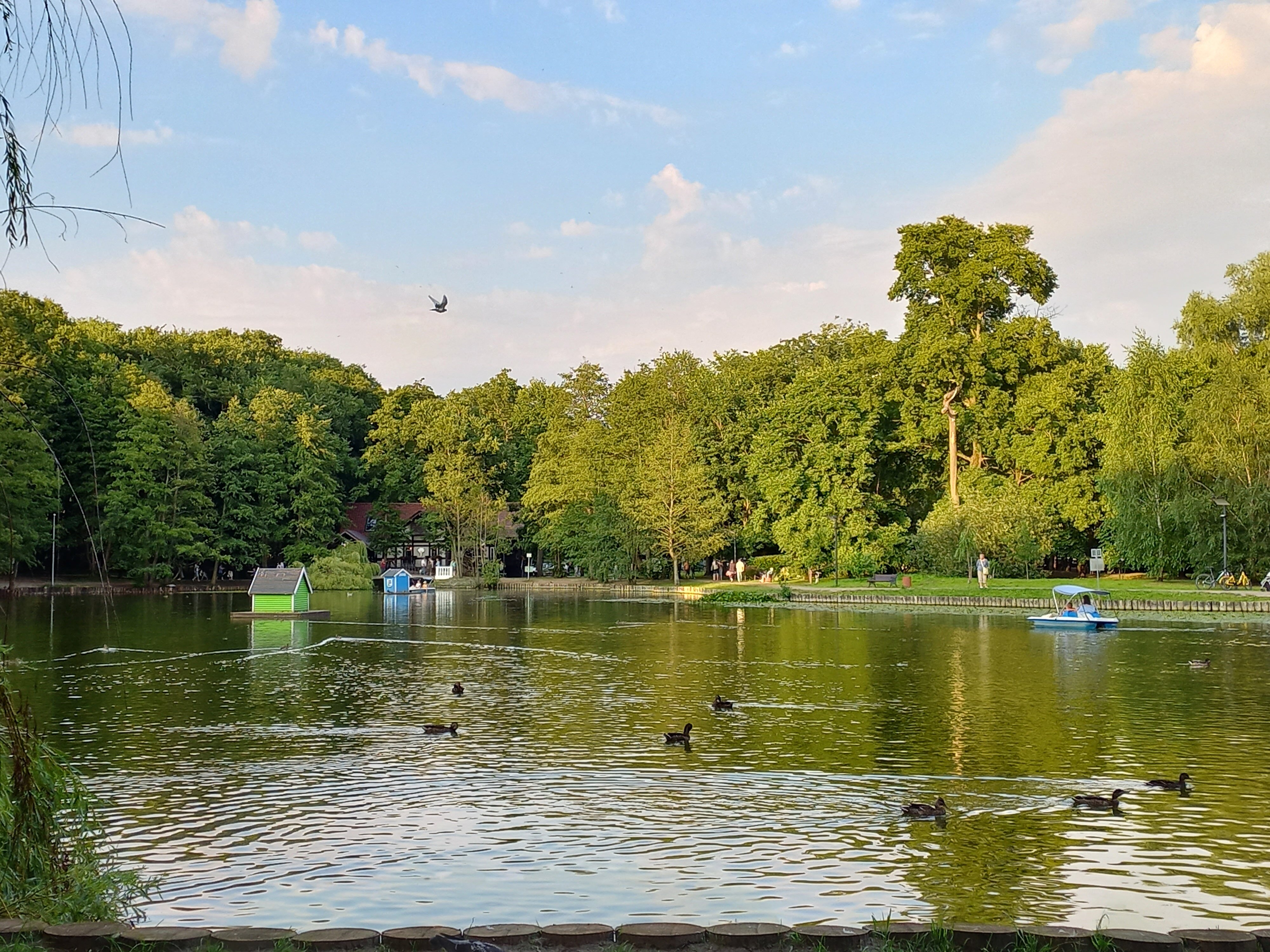 Фото Лермонтовский