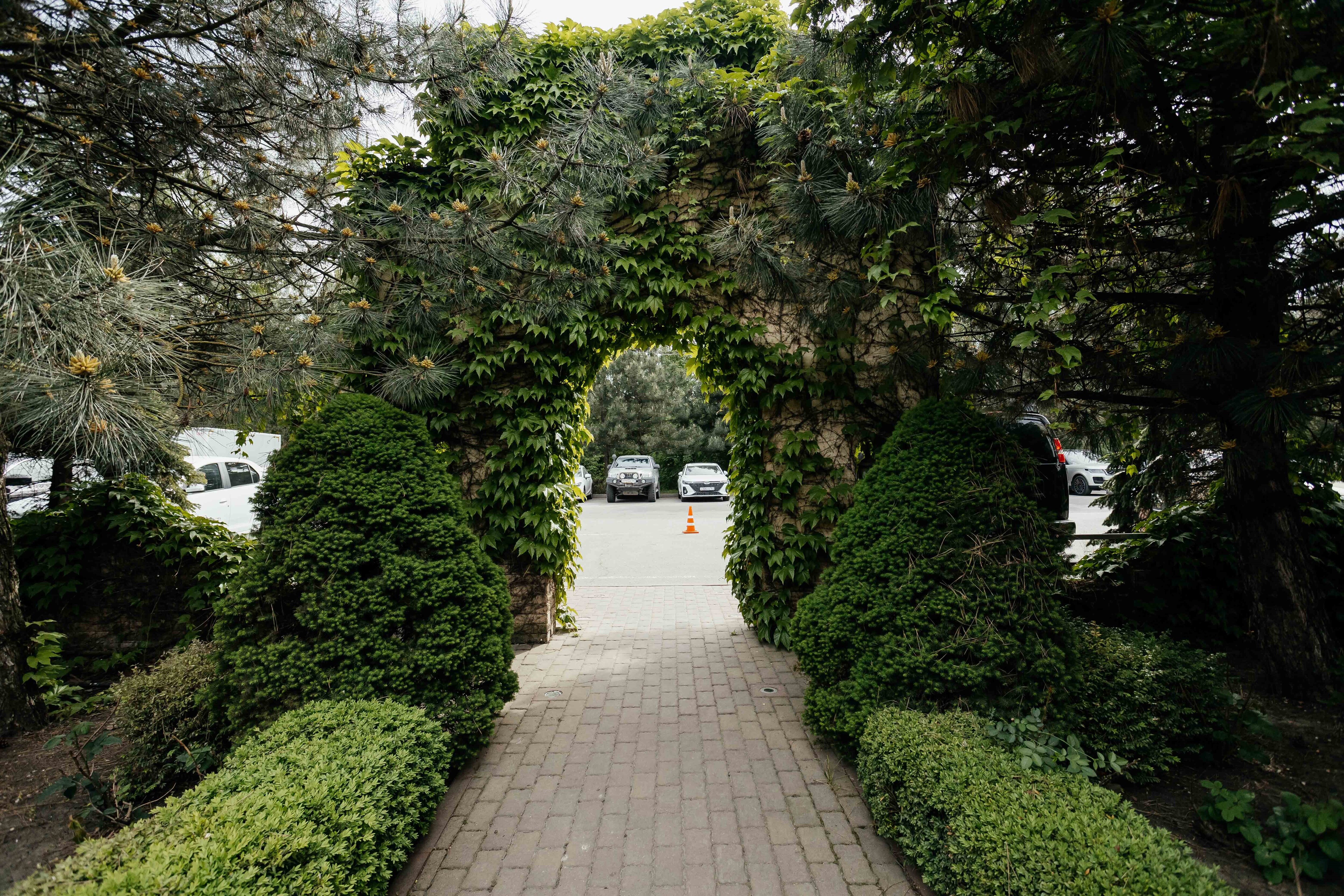 Фото Донская роща