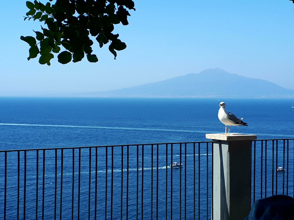 Observation deck Observation deck, Sorrento, photo