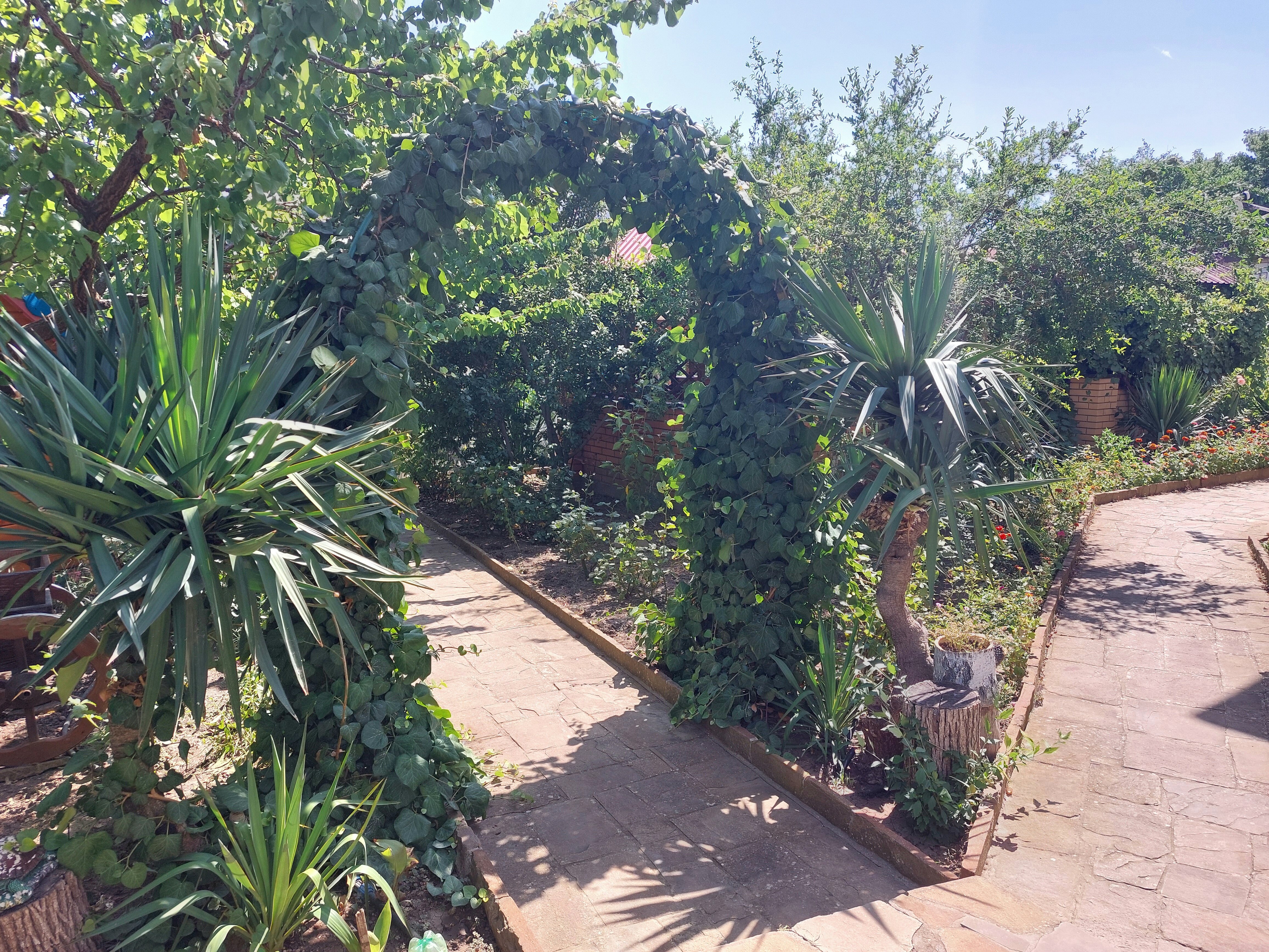 Фото Солнечная Долина