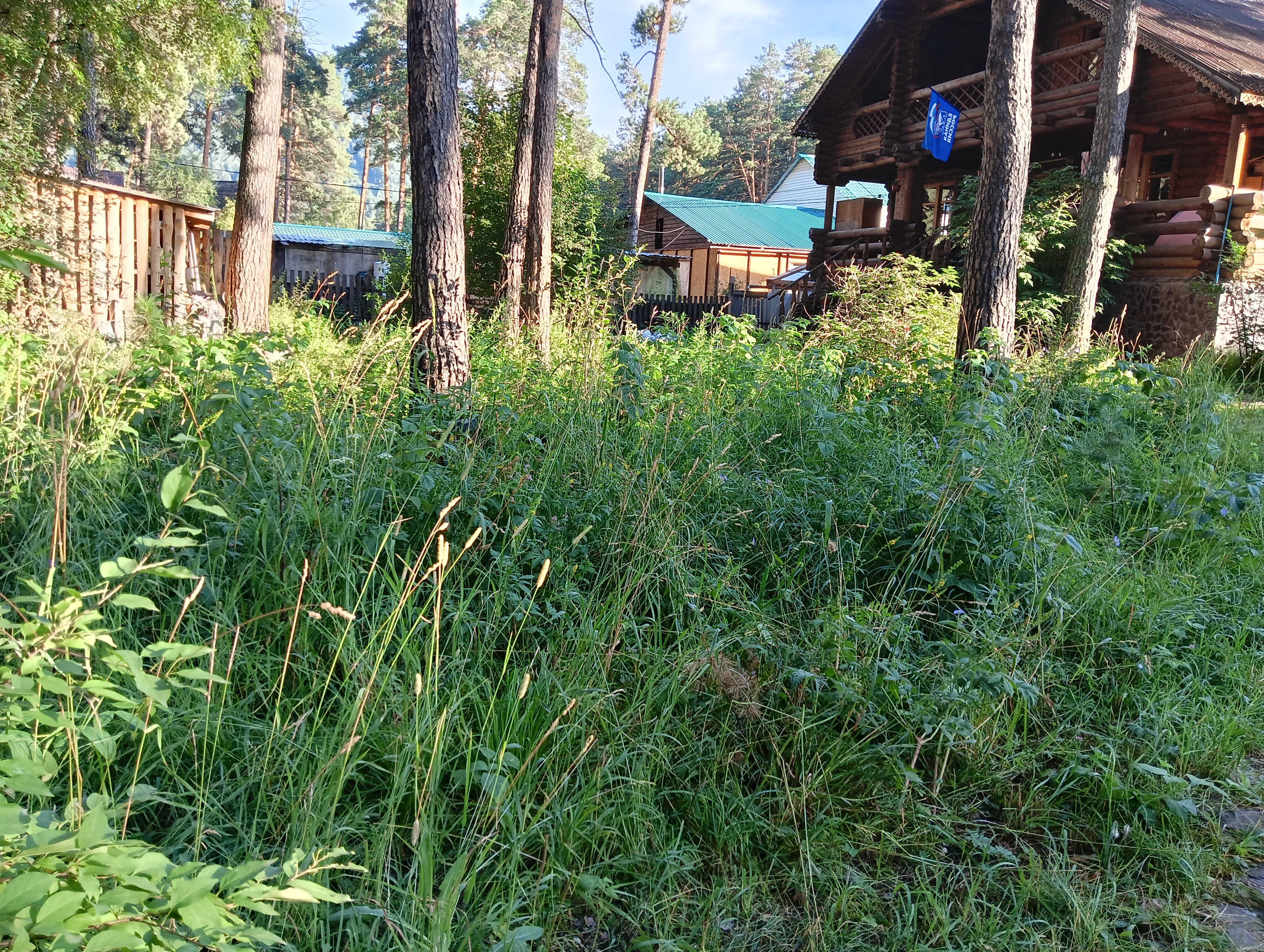 Фото Усадьба Три Медведя