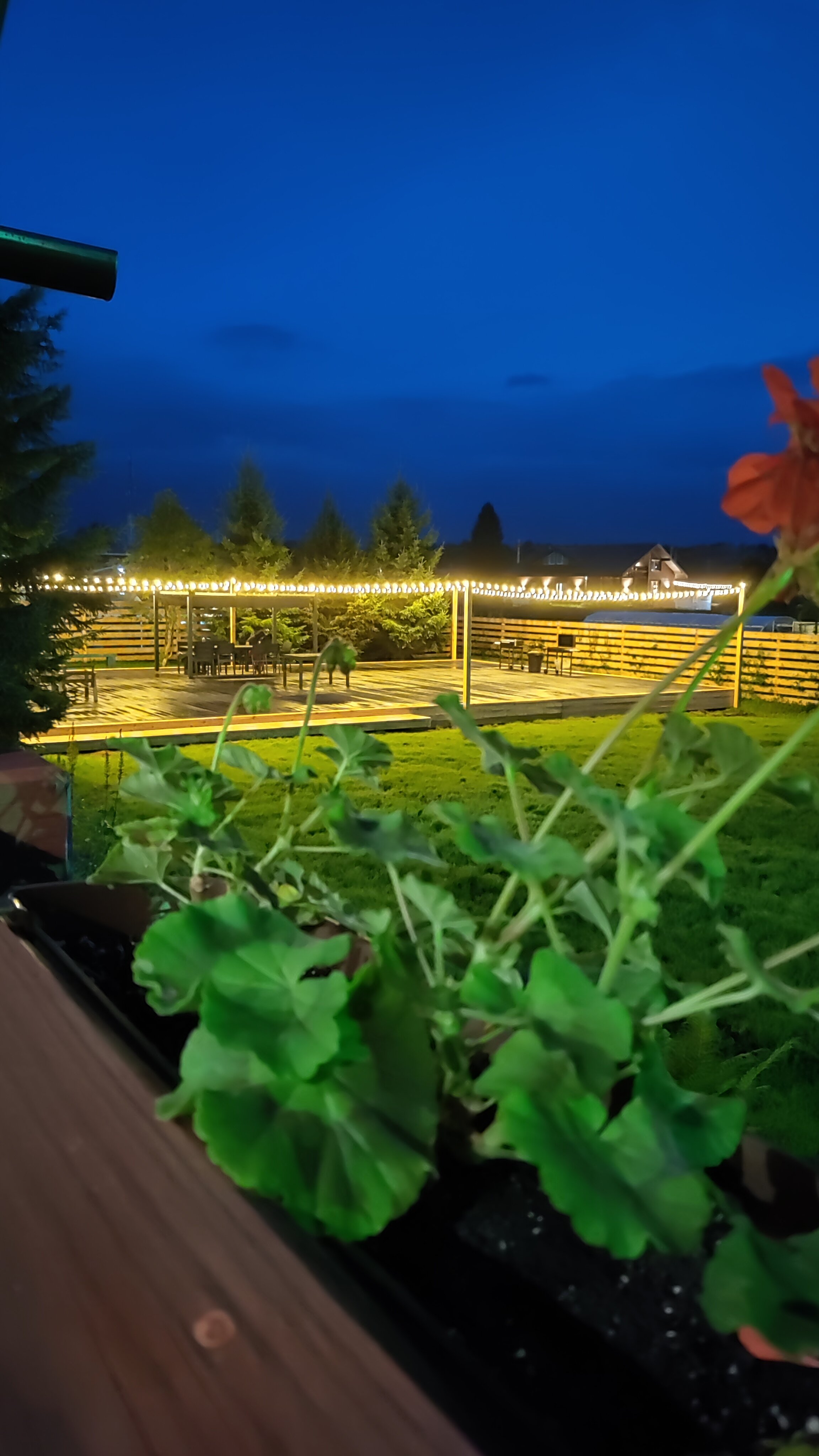 Фото Гостевой дом Новоснежная