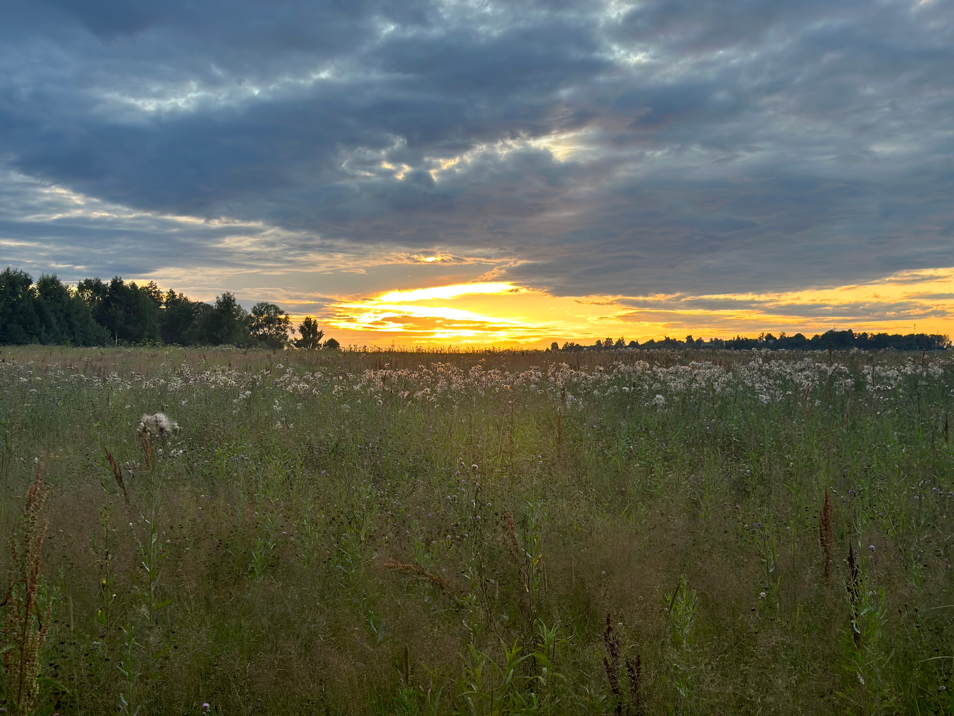 Фото Медвежье Урочище