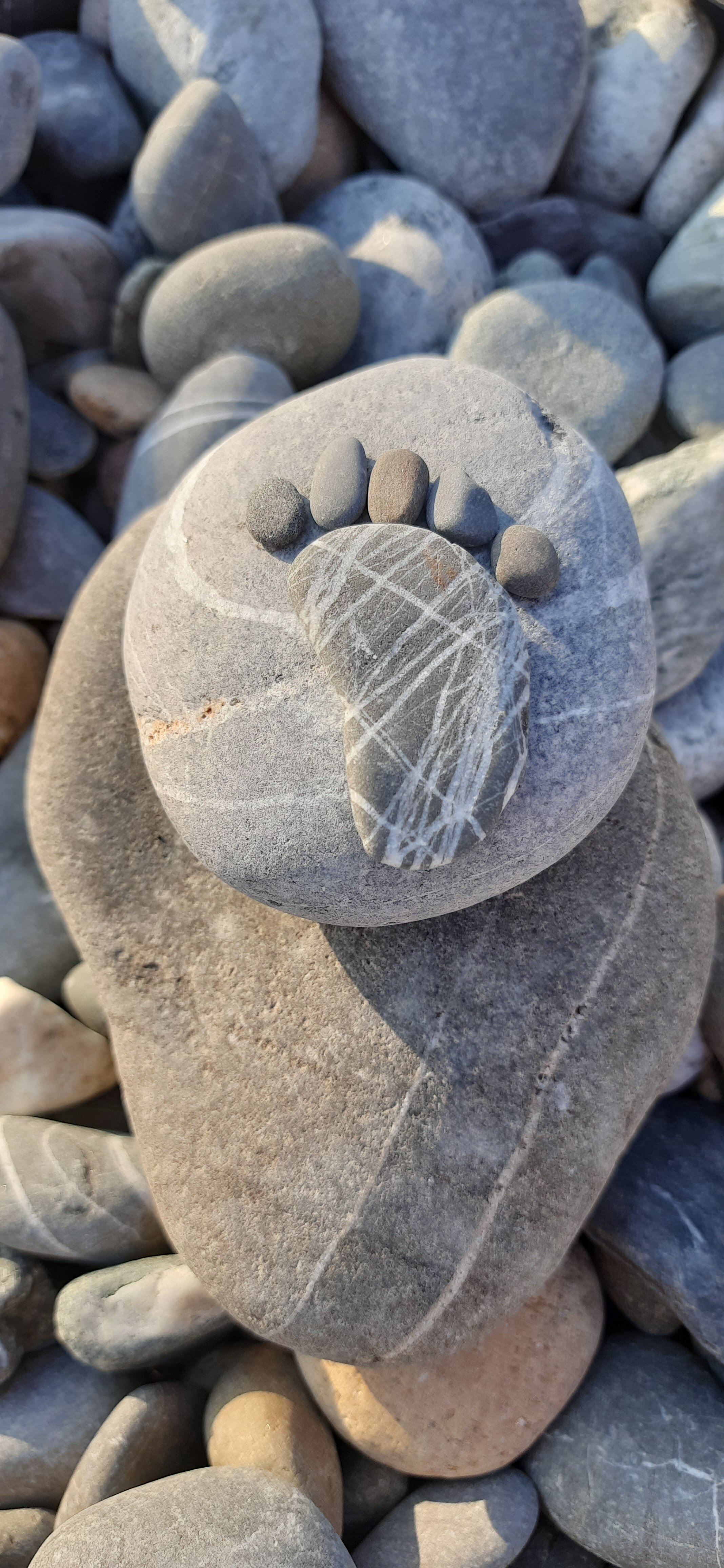 Фото Олеандр