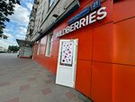 Wildberries (Narodnogo Opolcheniya Street, 21к1), point of delivery