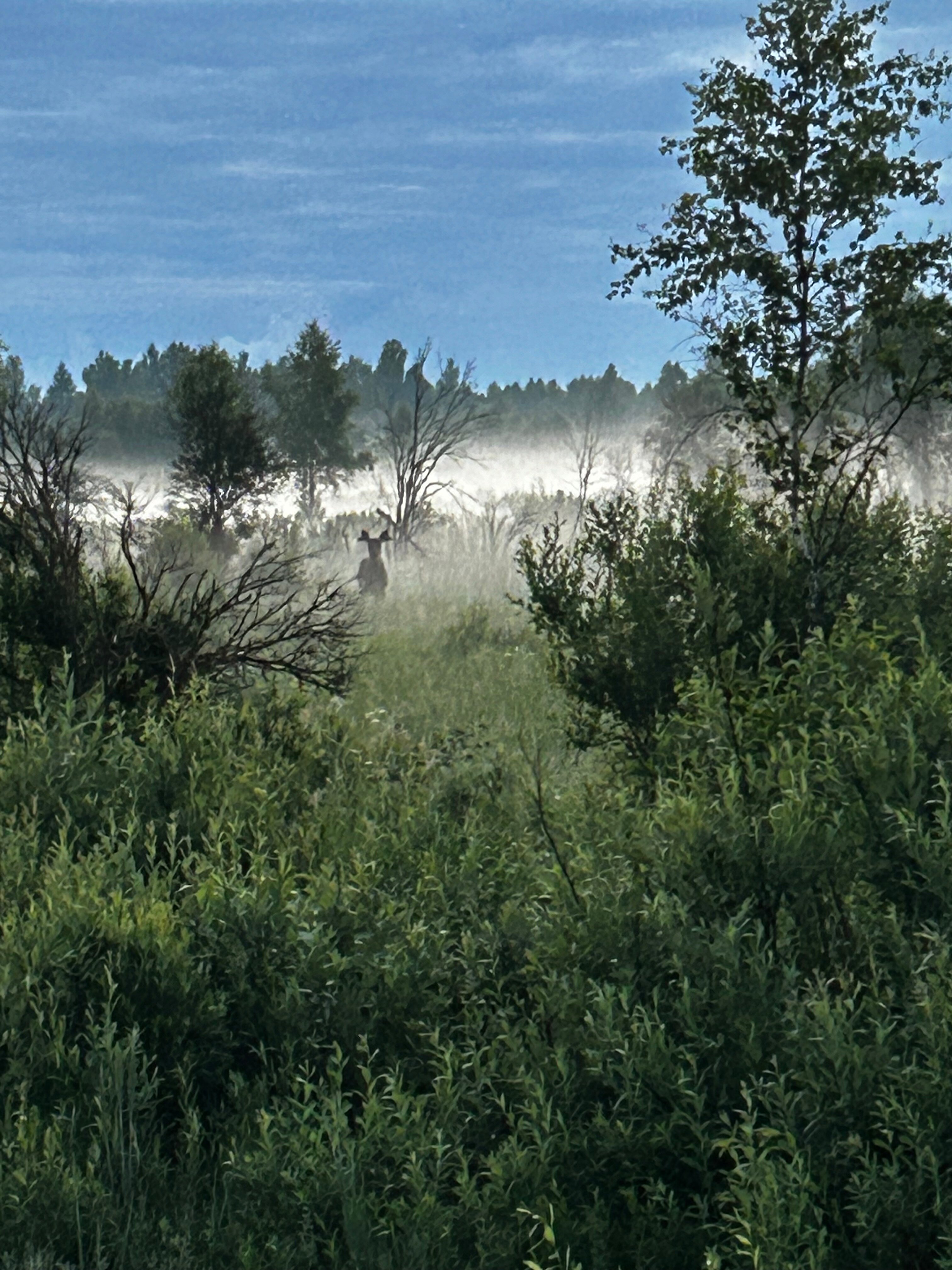 Фото Волжский фермер