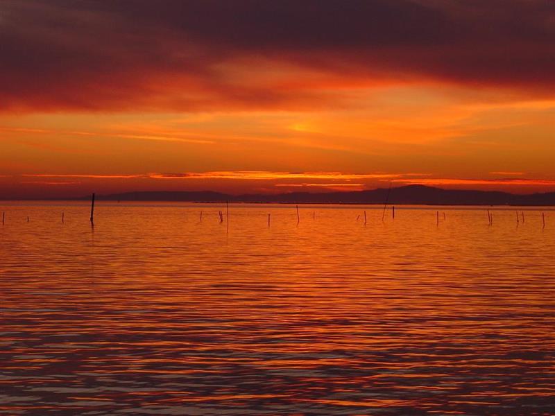 Фото Hotel Carril