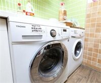 Фото Elm Tree Guest House Myeongdong