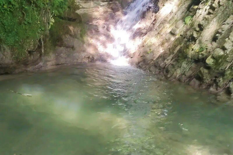 Фото У Кедра