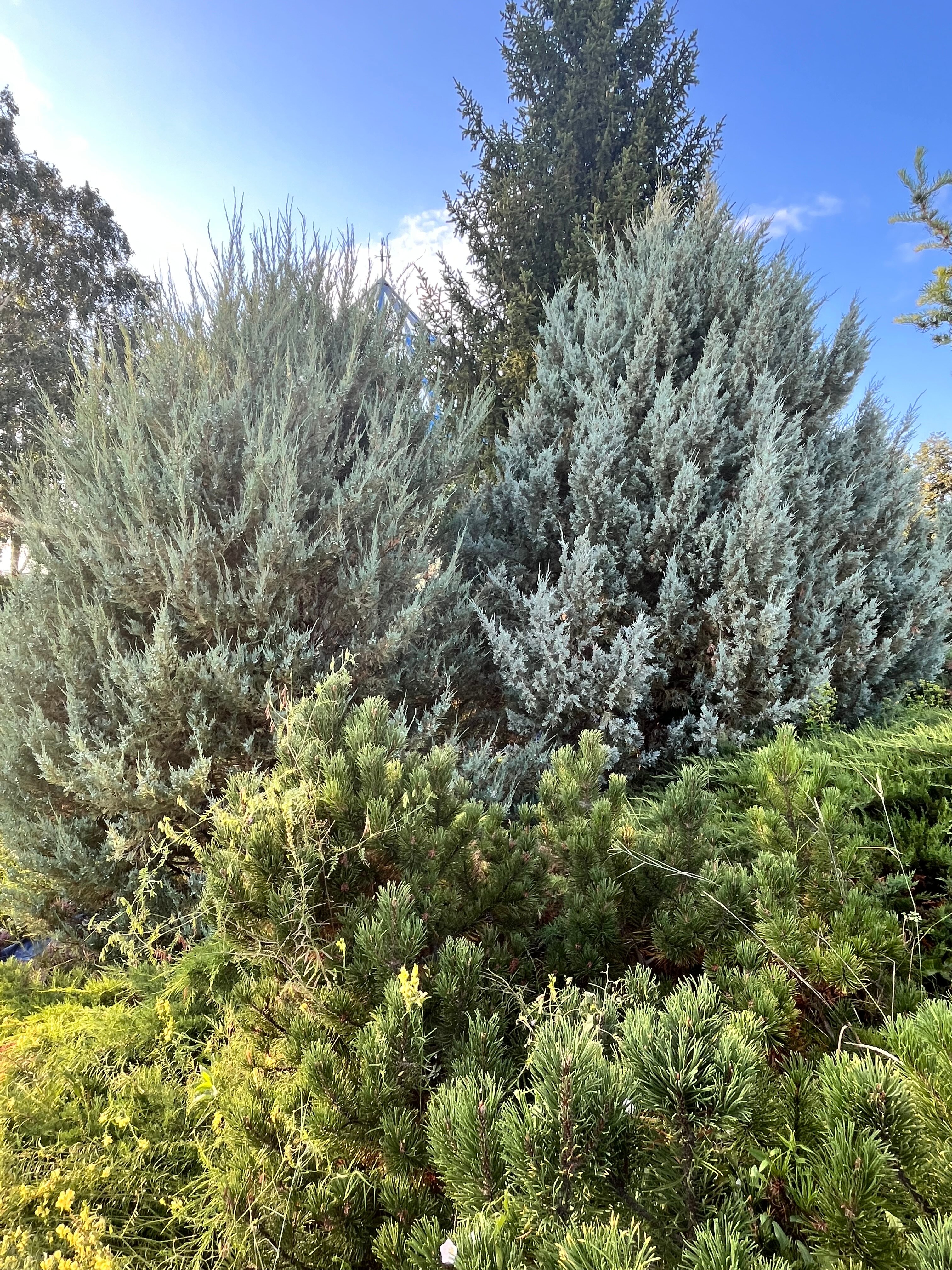 Фото Санаторий Бакирово