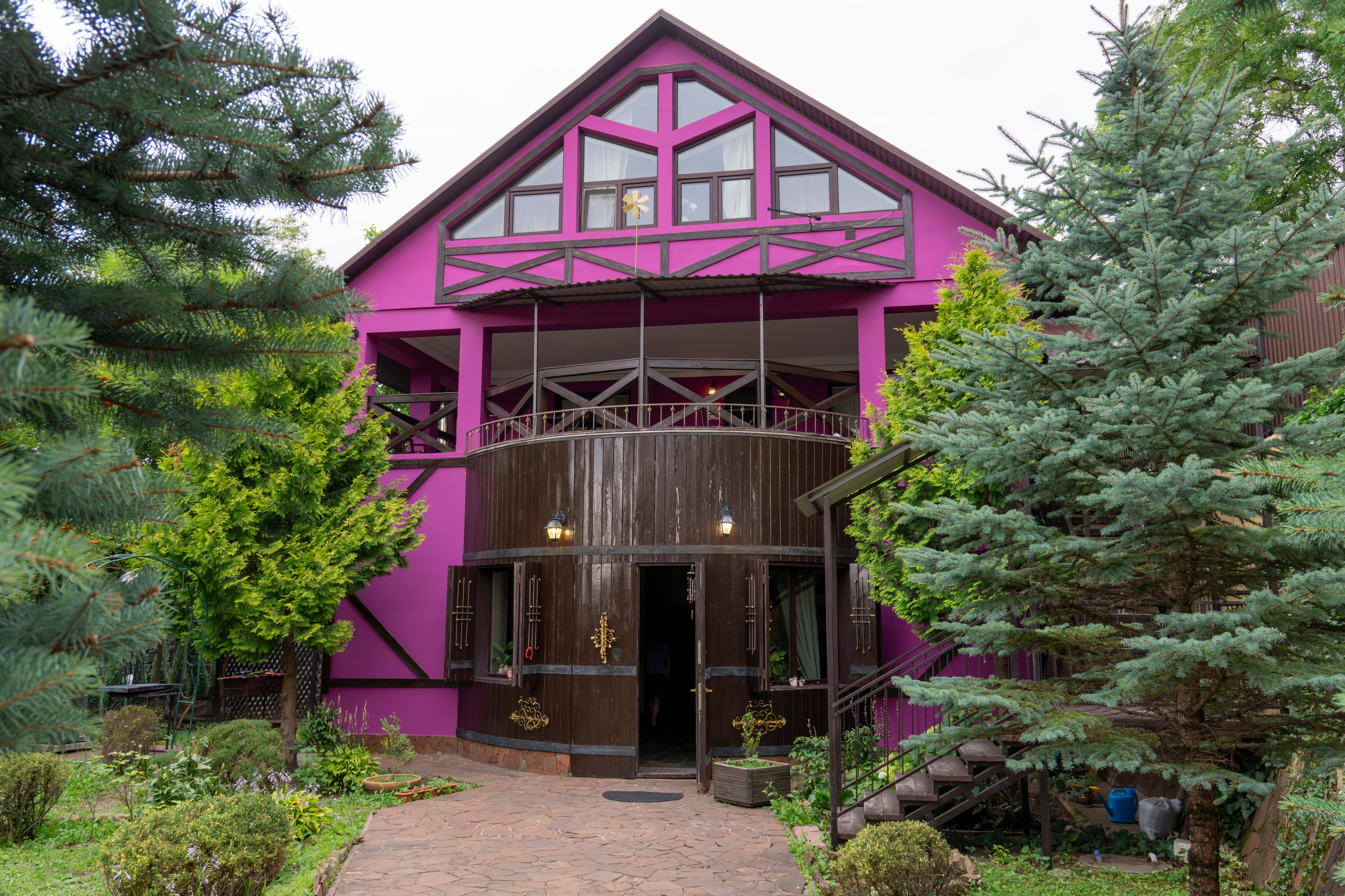 Фото Золотой Гусь