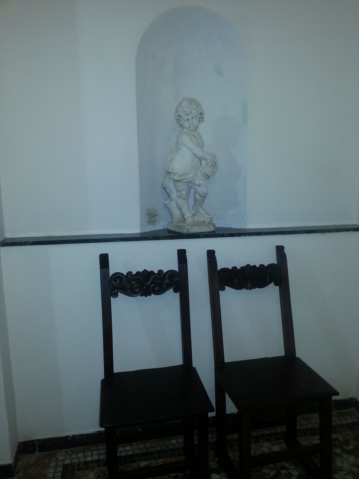 Фото Little Garden Donatello