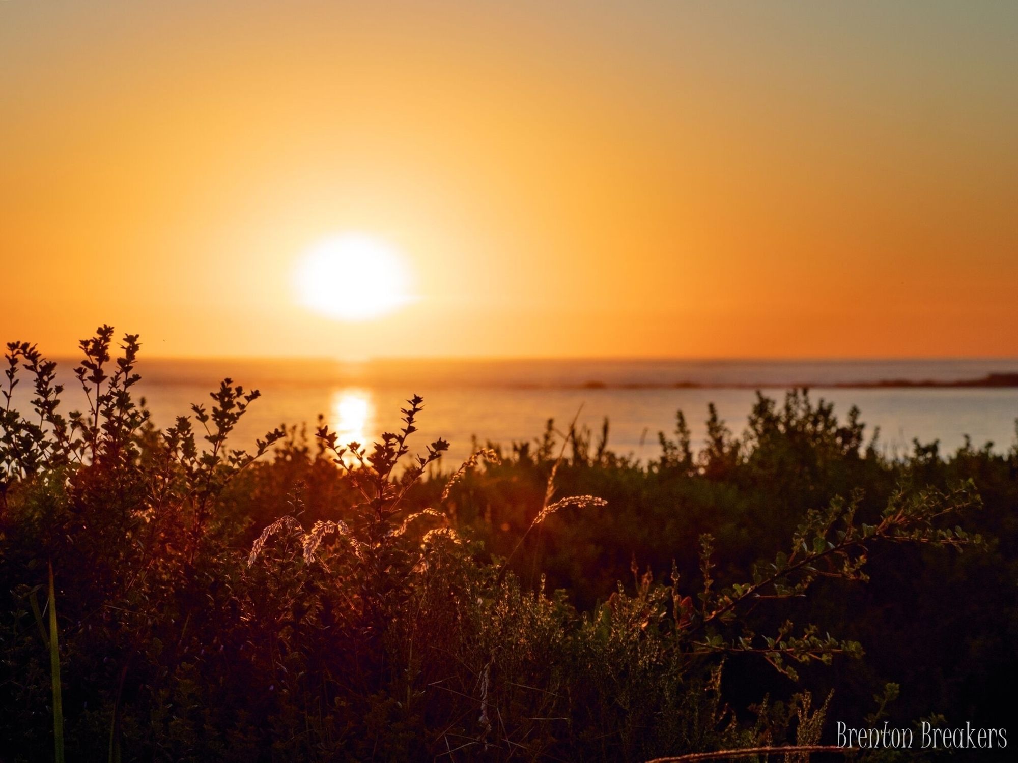Фото Brenton Breakers