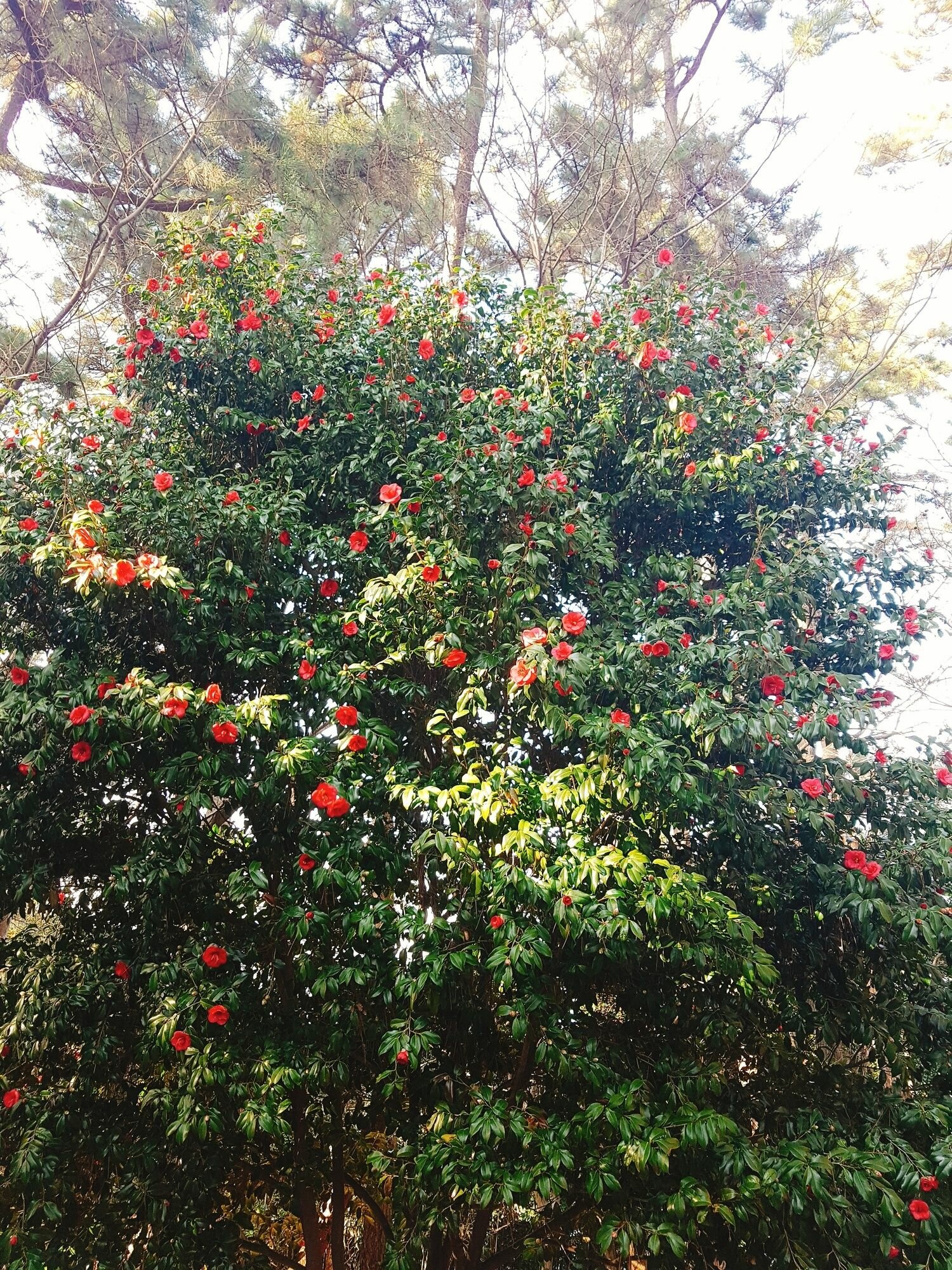 Фото Big-O Show Guesthouse - Hostel