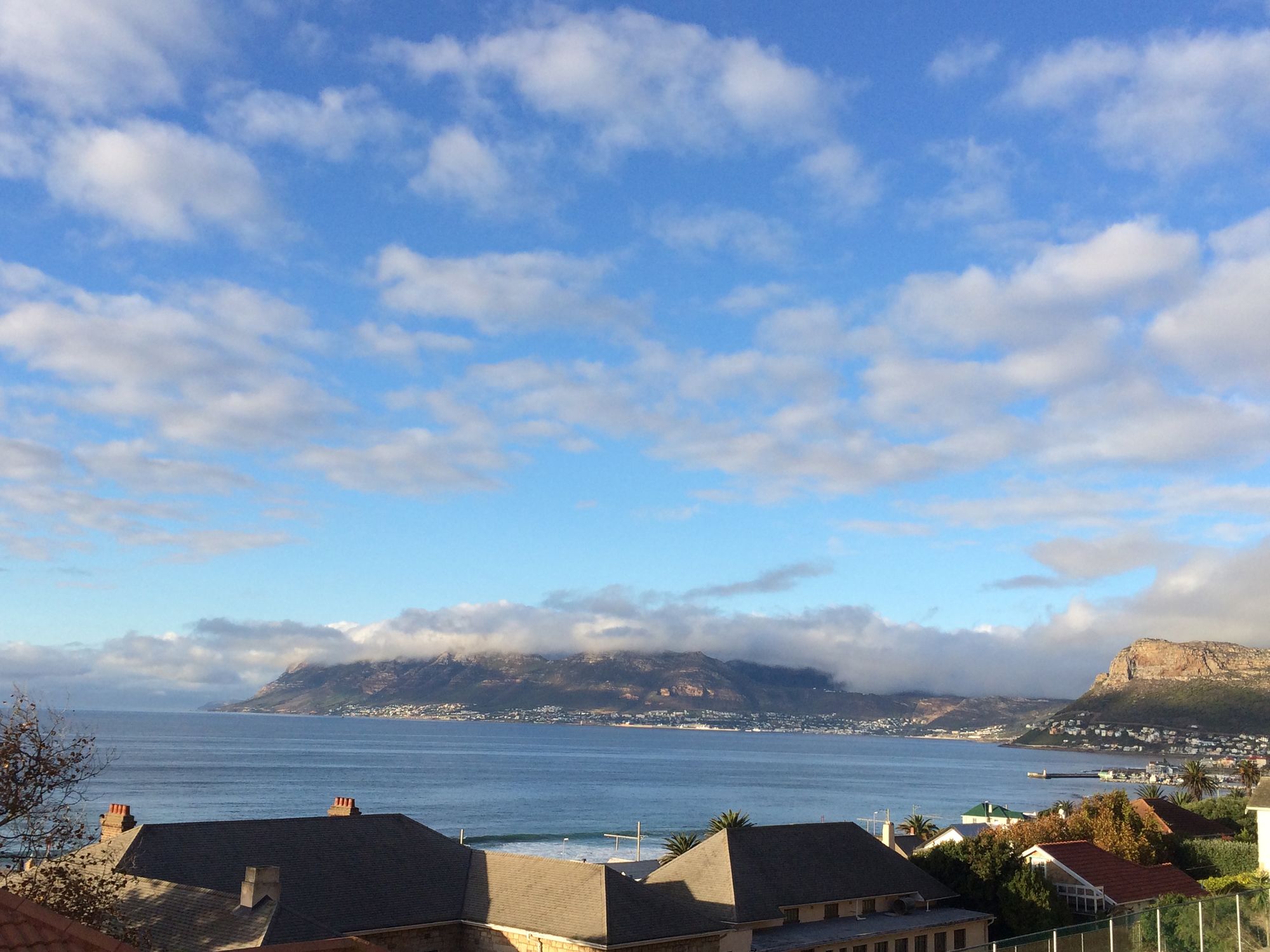 Фото Blue On Blue Bed and Breakfast